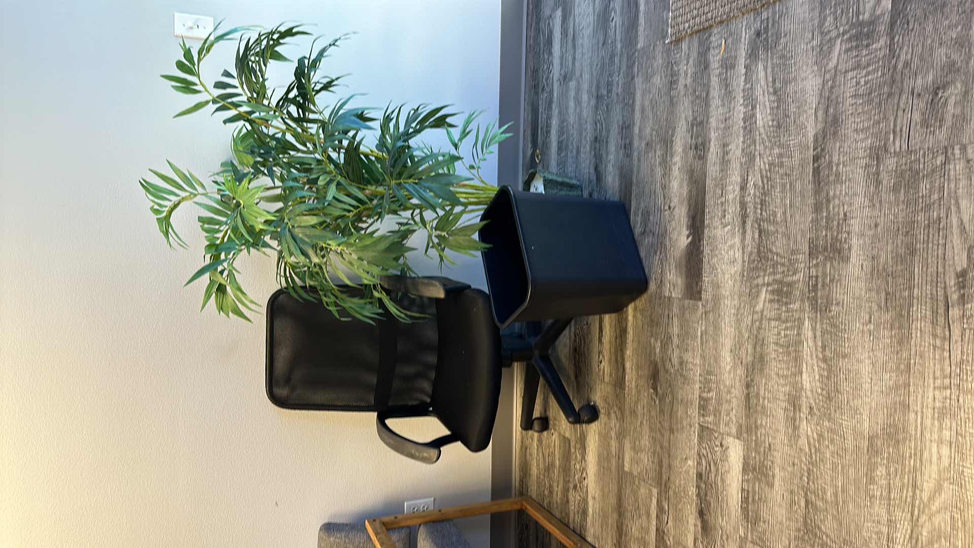 Photo 2 of BLACK SWIVEL OFFICE CHAIR, FAUX TREE, TRASH BASKET