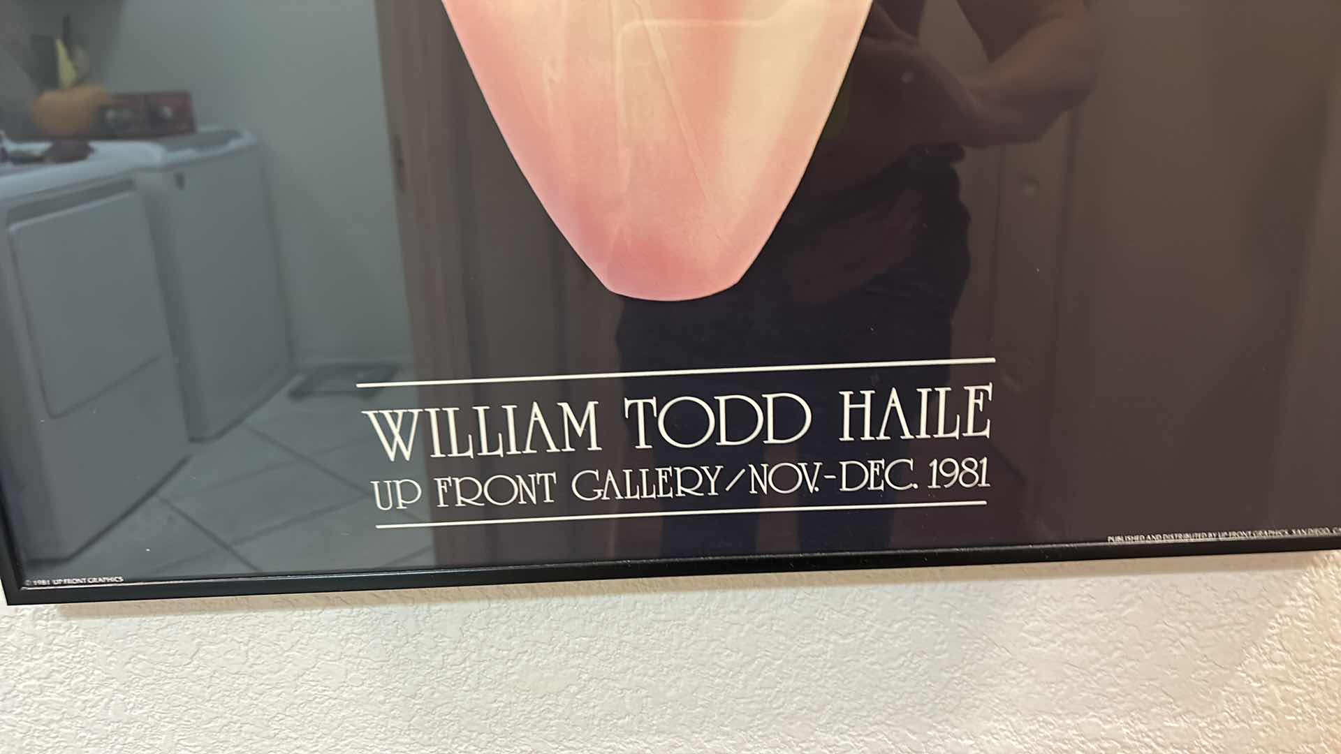 Photo 4 of FRAMED "VASE" WILLIAM TODD HAILE, UP FRONT GALLERY ARTWORK 20” x 36”