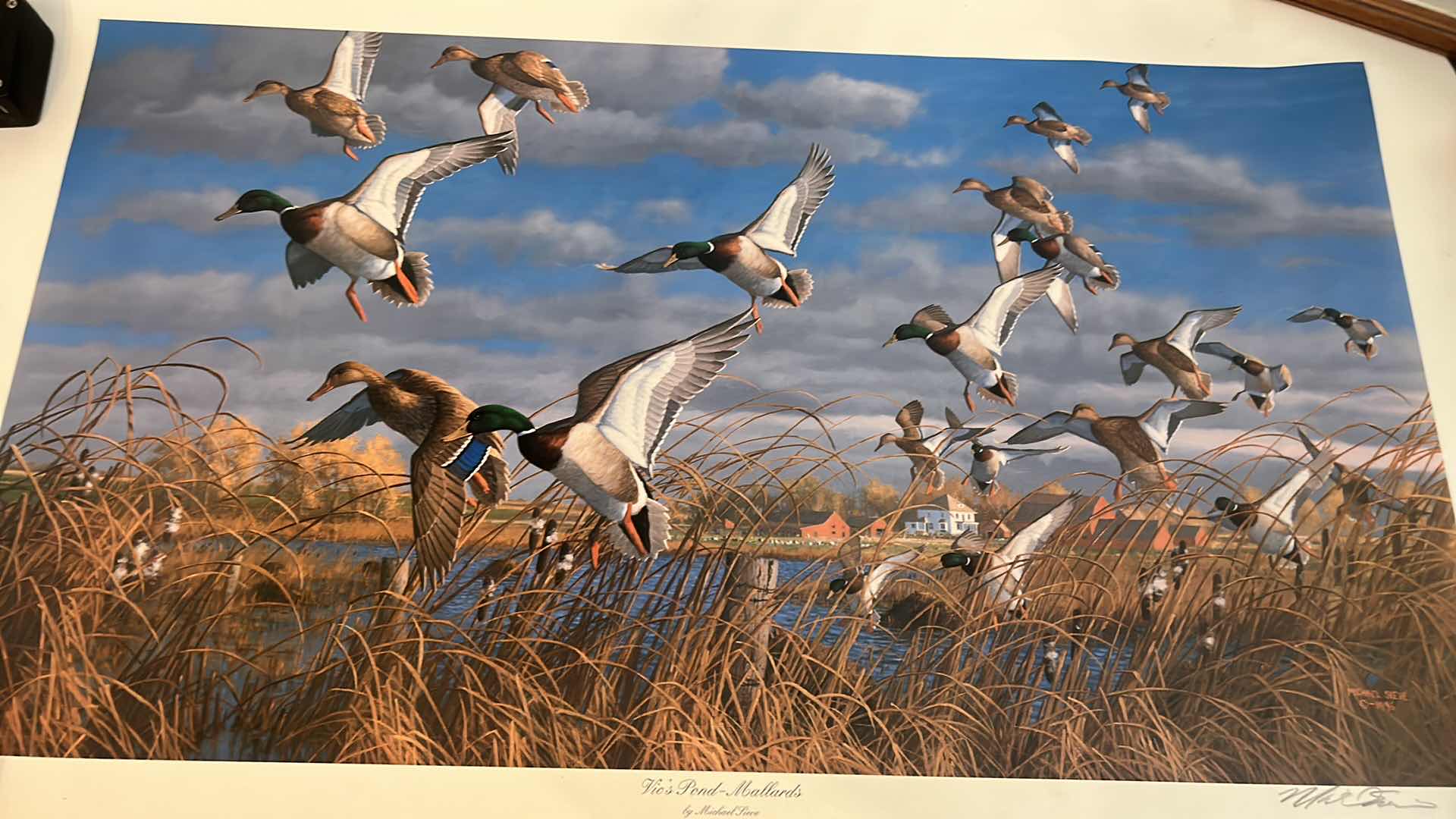 Photo 1 of SIGNED NUMBERED PRINT “VICS POND MALLORDS, ARTWORK 31” x 20”