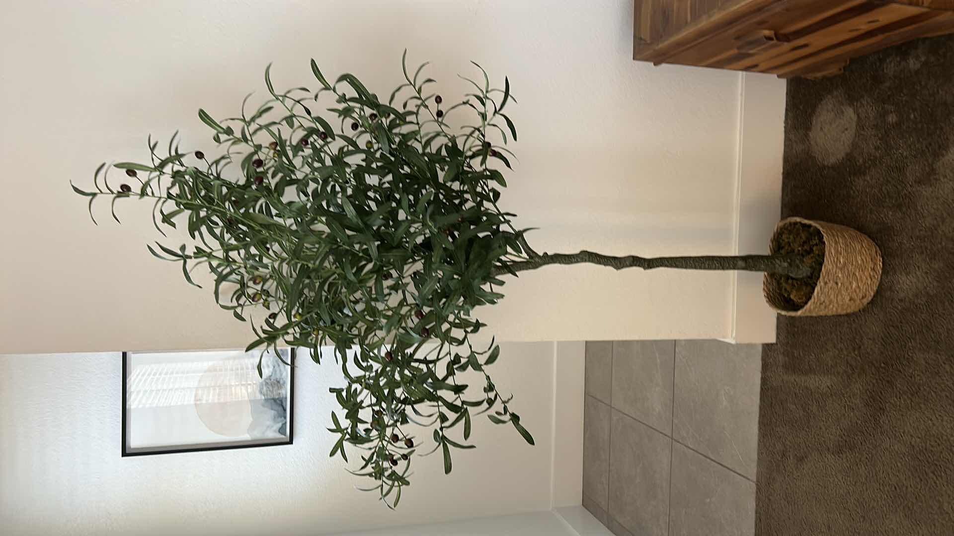Photo 1 of 5’ FAUX OLIVE TREE IN WOVEN BASKET