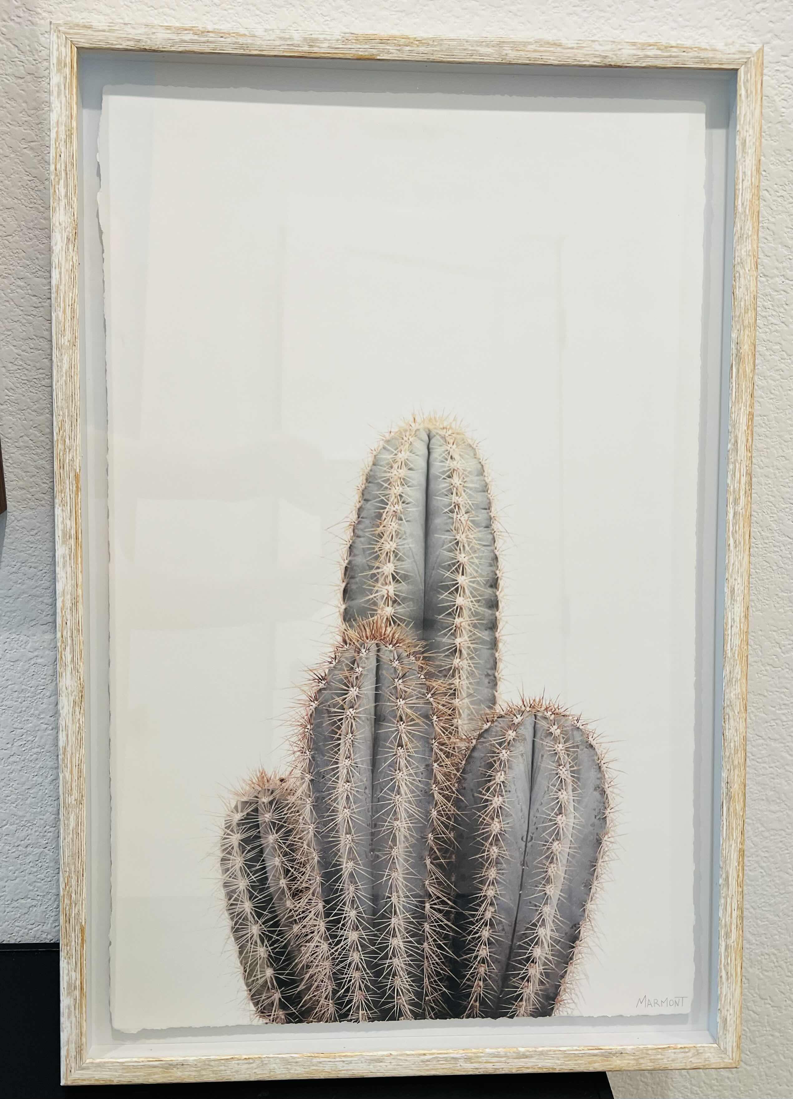 Photo 4 of FRAMED DESERT CACTUS PHOTOGRAPHS LARGE 27“ x 39“. SMALL 16” x 24”.