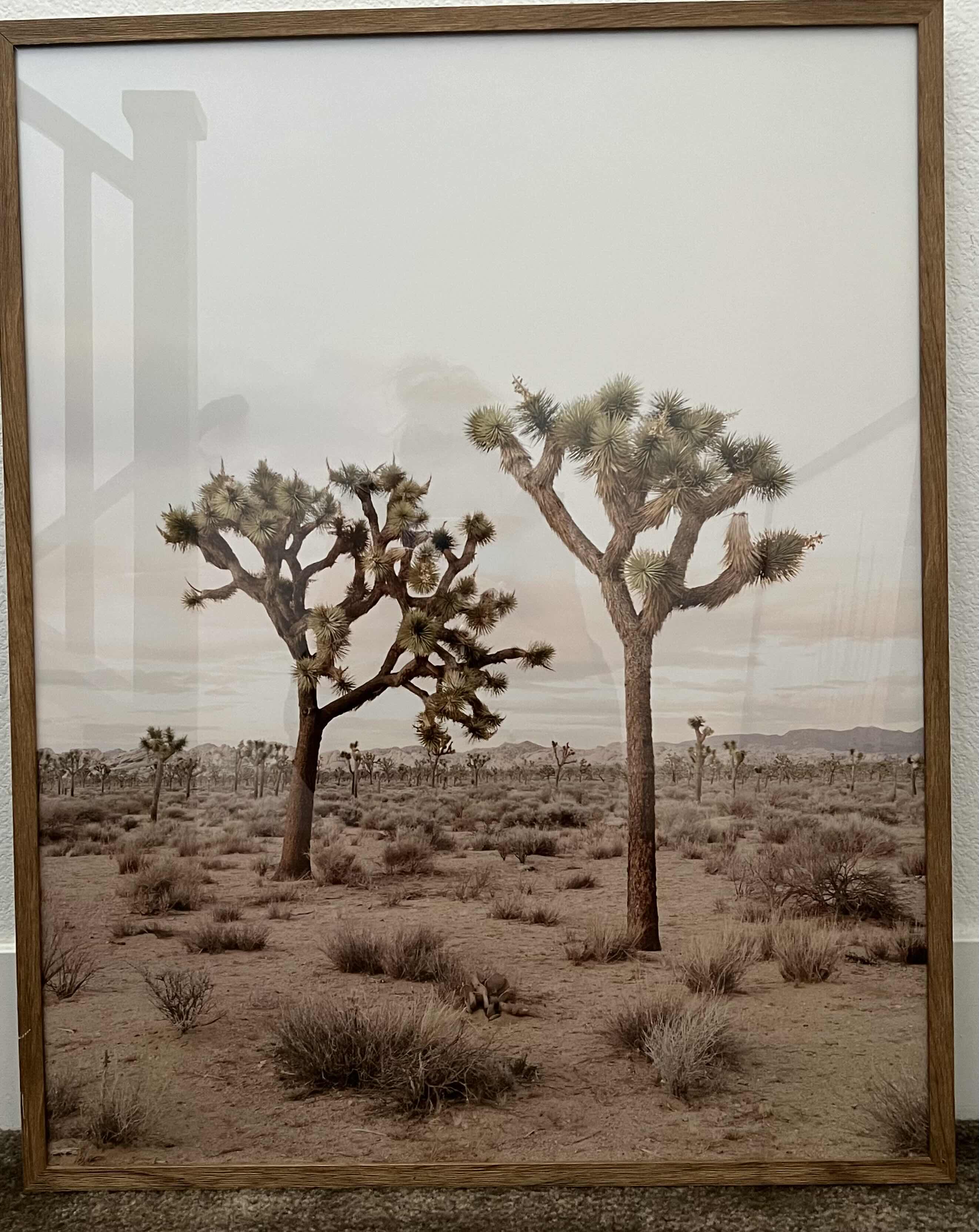 Photo 2 of FRAMED DESERT LANDSCAPE PHOTOGRAPHS. SOLD AS A SET OF 2. 24“ x 30“.