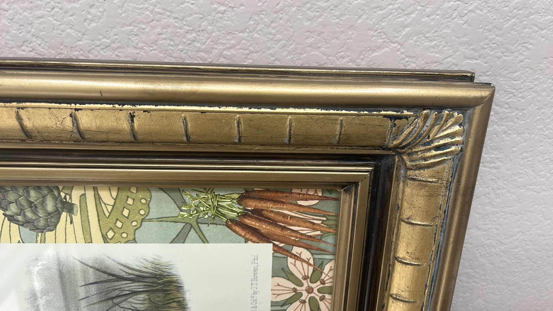 Photo 1 of GOLD FRAMED “SWAMP HARE” PRINTED LITHOGRAPH 25” x H21”
