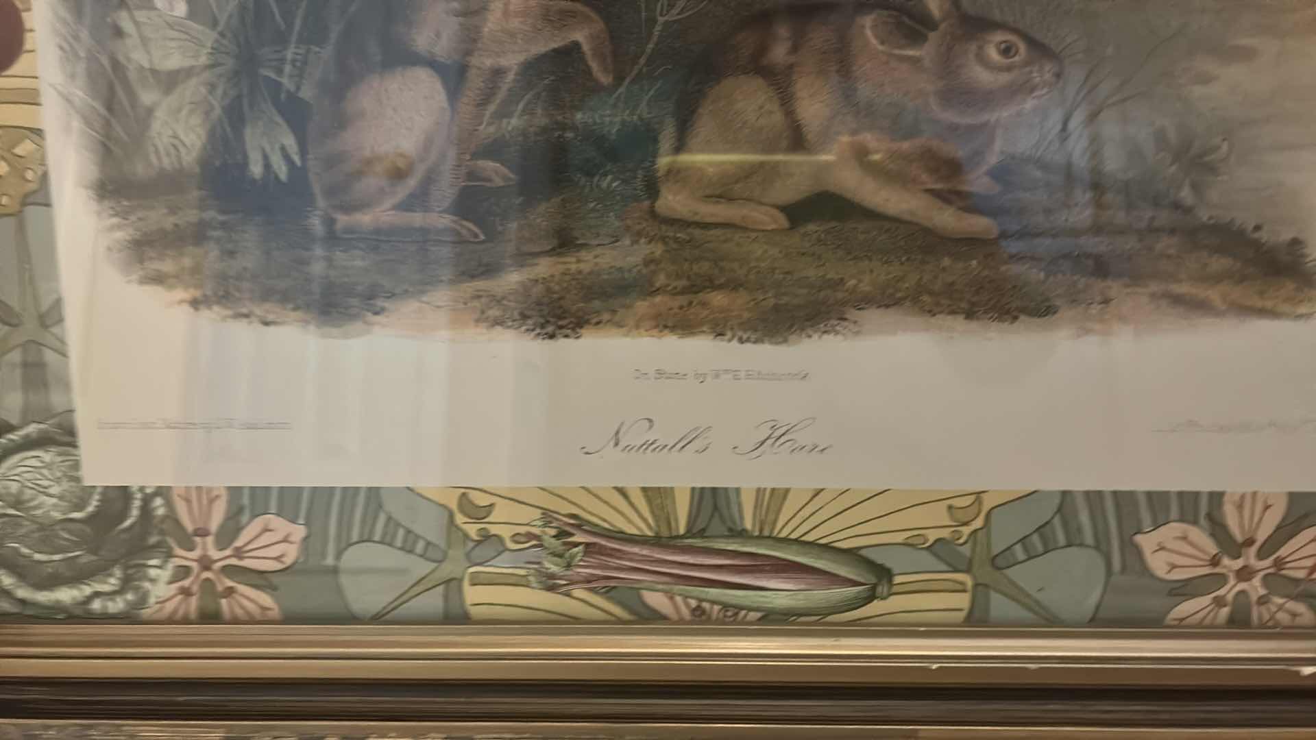 Photo 1 of FRAMED “NUTTAILS HARE” ARTWORK 25” x H21”