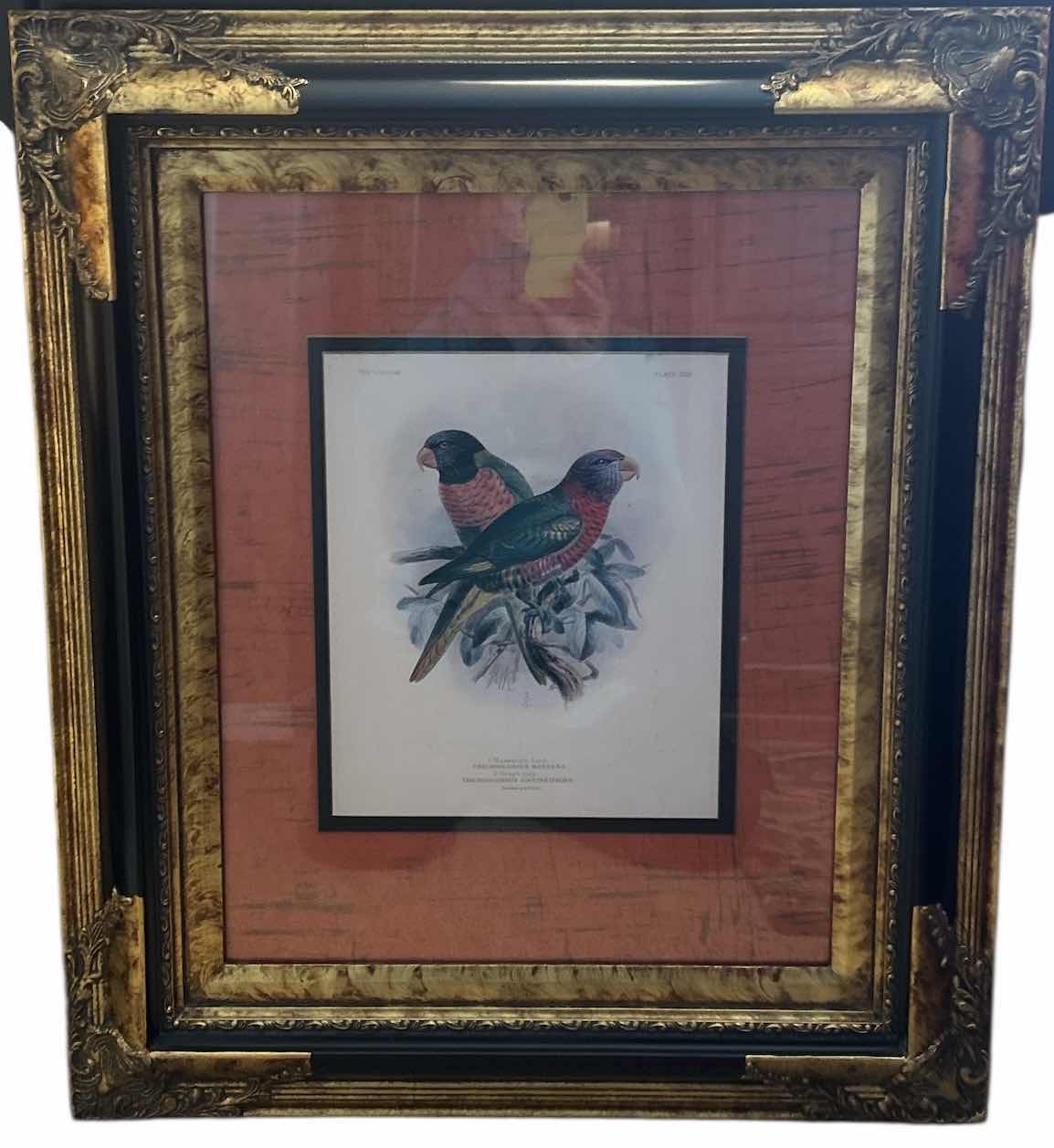 Photo 1 of GOLD W BLACK ORNATE FRAMED MASSENA’S LORY BY MIVART ARTWORK 23 1/2“ x 27 1/2“