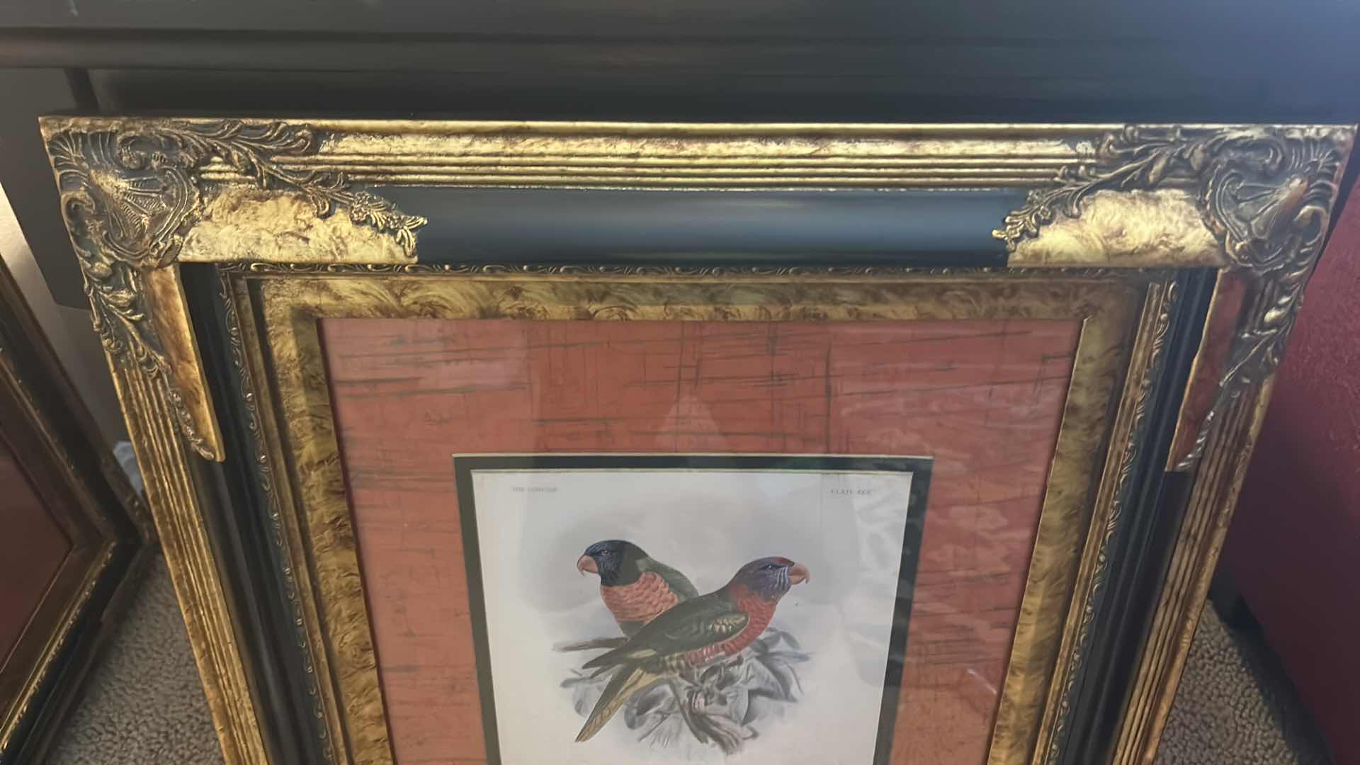 Photo 1 of GOLD W BLACK ORNATE FRAMED MASSENA’S LORY BY MIVART ARTWORK 23 1/2“ x 27 1/2“