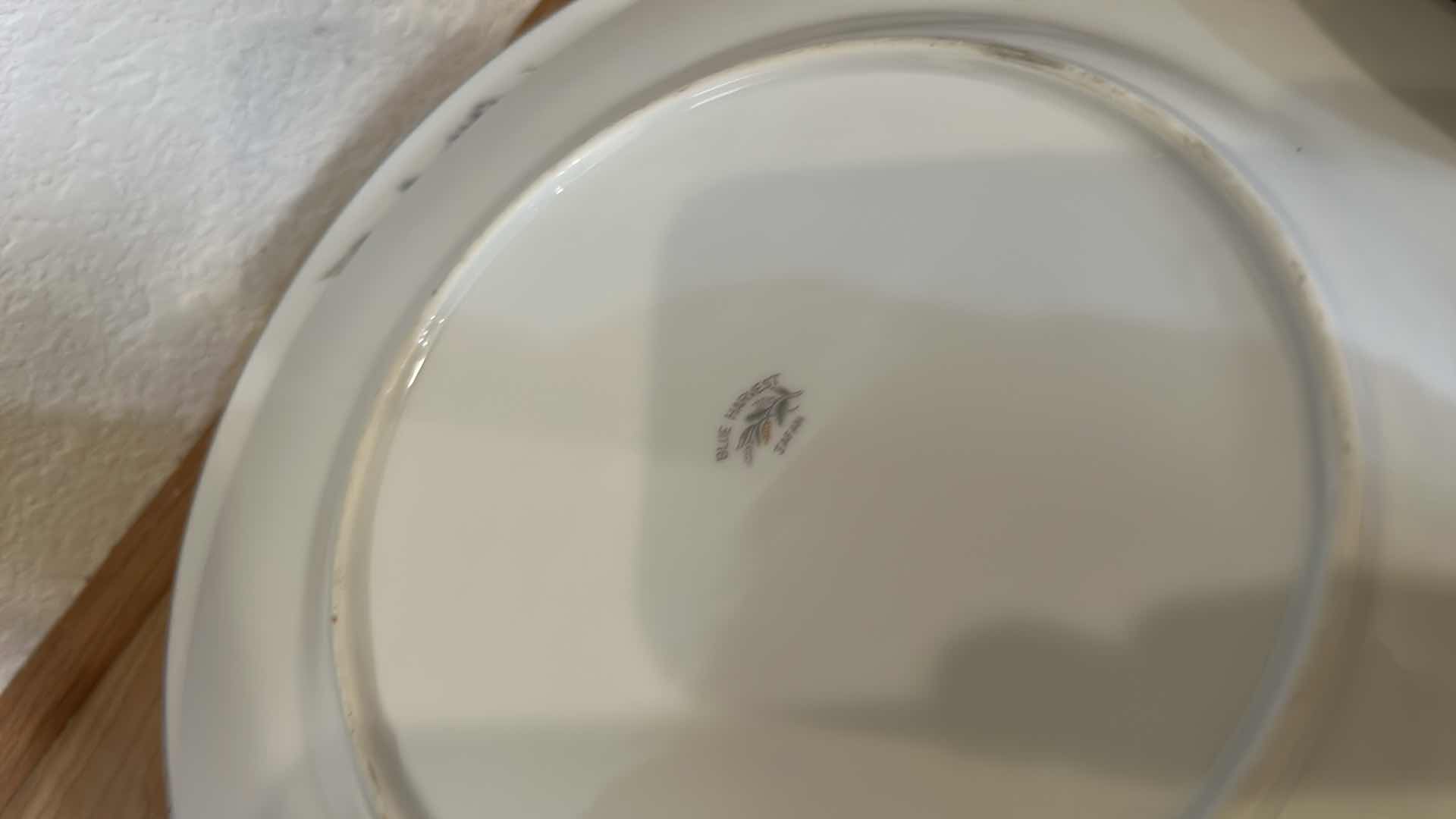 Photo 1 of 20 PC’S BLUE HARVEST DINNERWARE