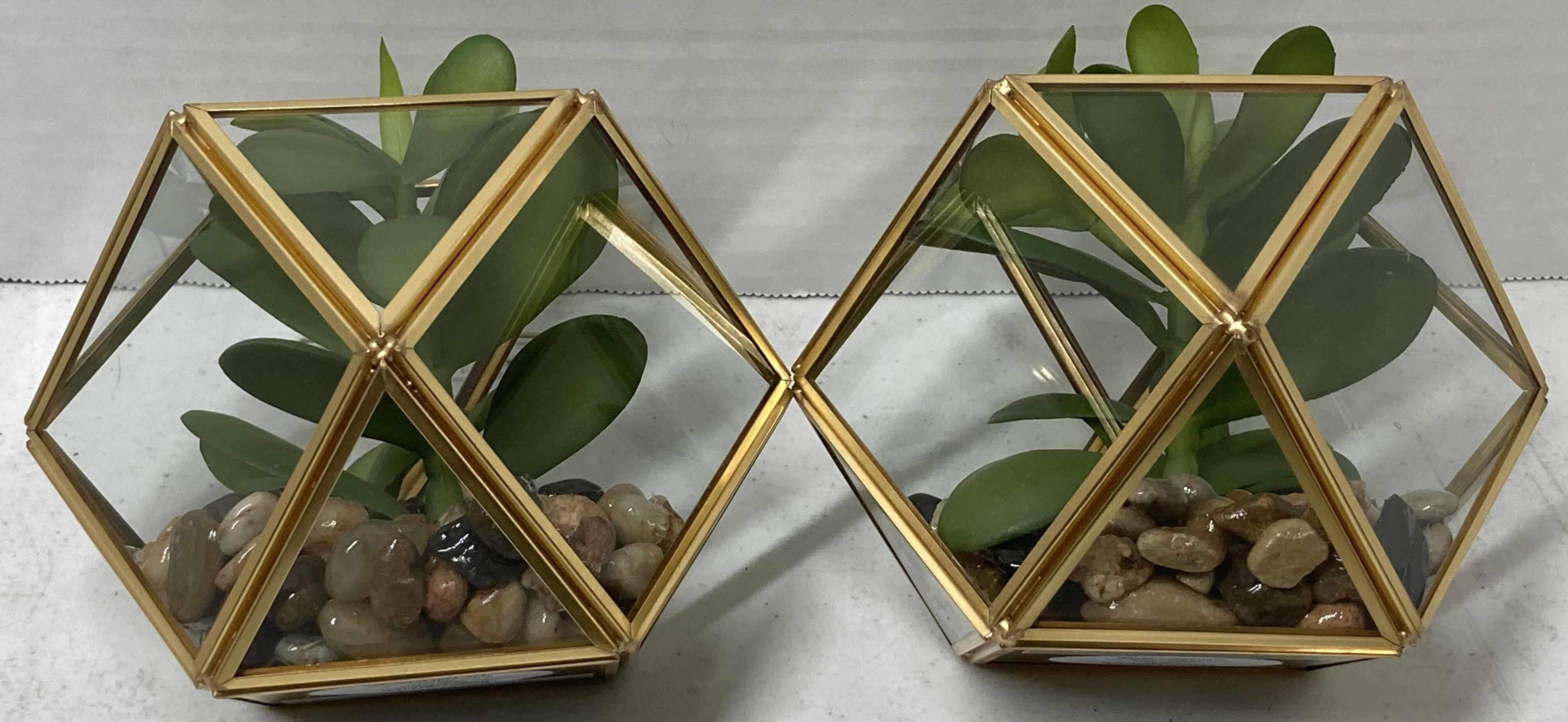 Photo 3 of NEW TARGET BRAND SUCCULENT PLANT W OPAL HOUSE TERRARIUM (SET OF 2) 4” X 7.5”