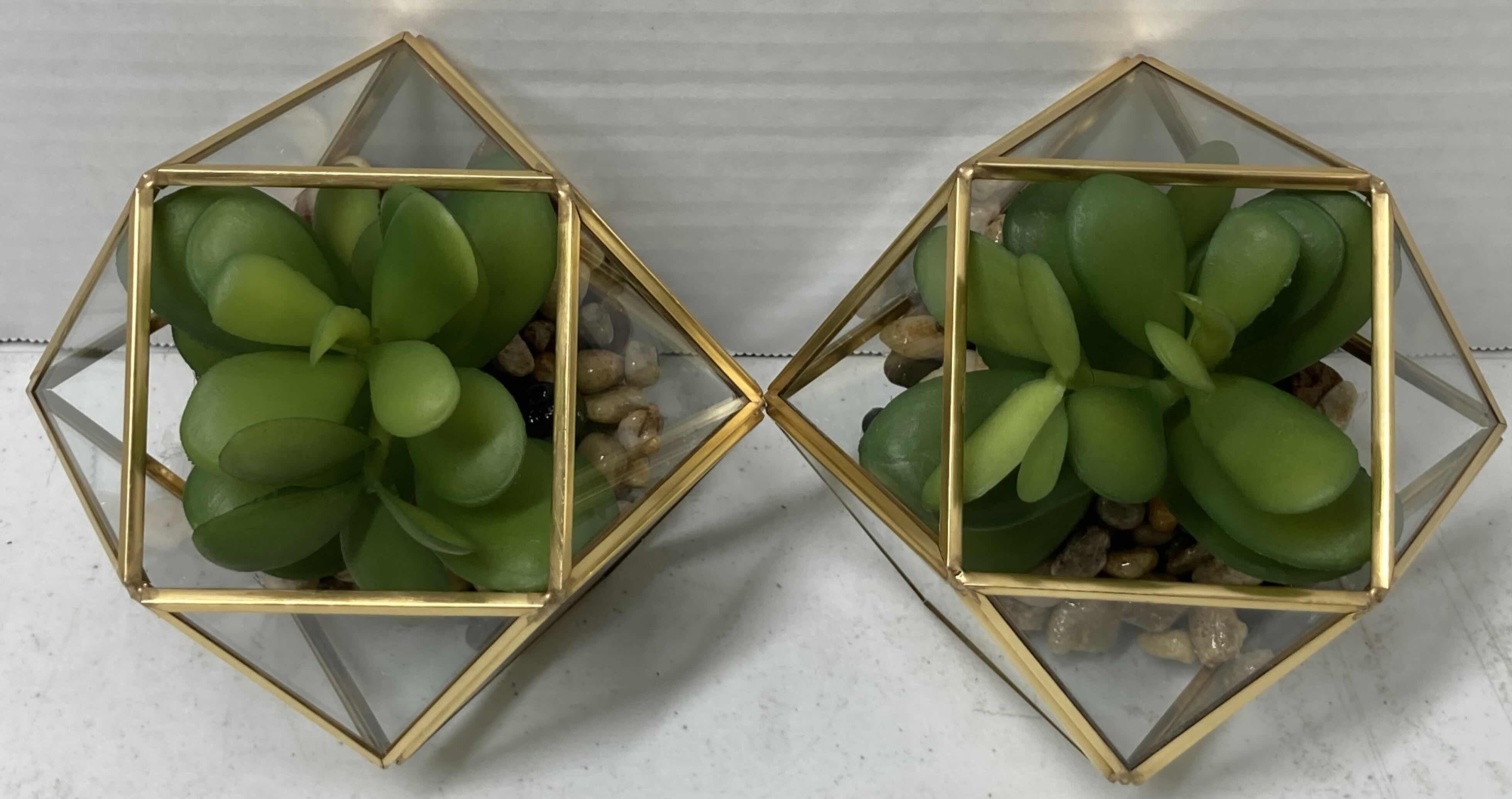 Photo 2 of NEW TARGET BRAND SUCCULENT PLANT W OPAL HOUSE TERRARIUM (SET OF 2) 4” X 7.5”