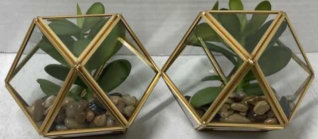 Photo 1 of NEW TARGET BRAND ARTIFICIAL SUCCULENT PLANT W OPAL HOUSE TERRARIUM (SET OF 2) 4" X 7.5"