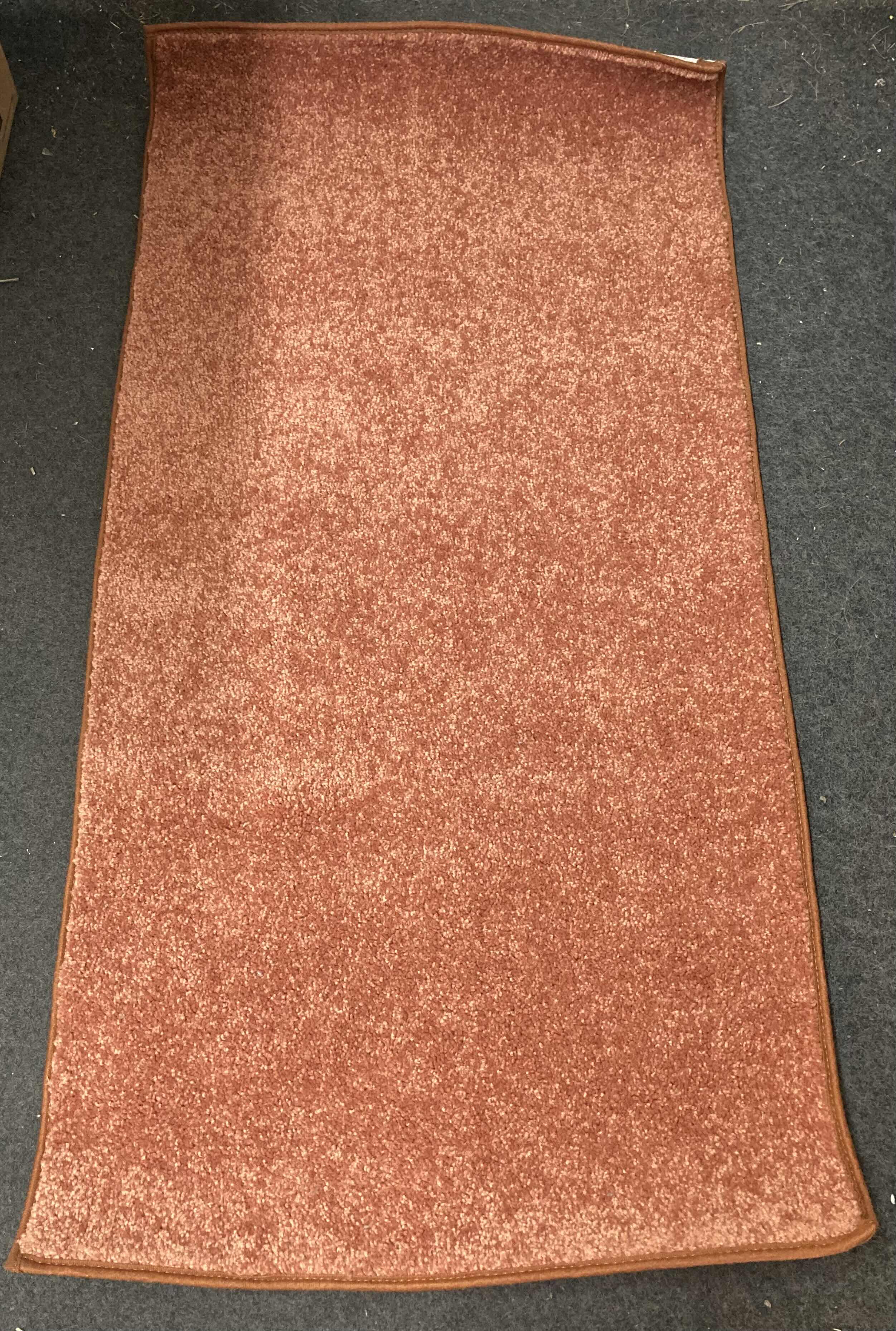Photo 1 of FURNISH MY PLACE RUST AREA RUG 24” X 48”