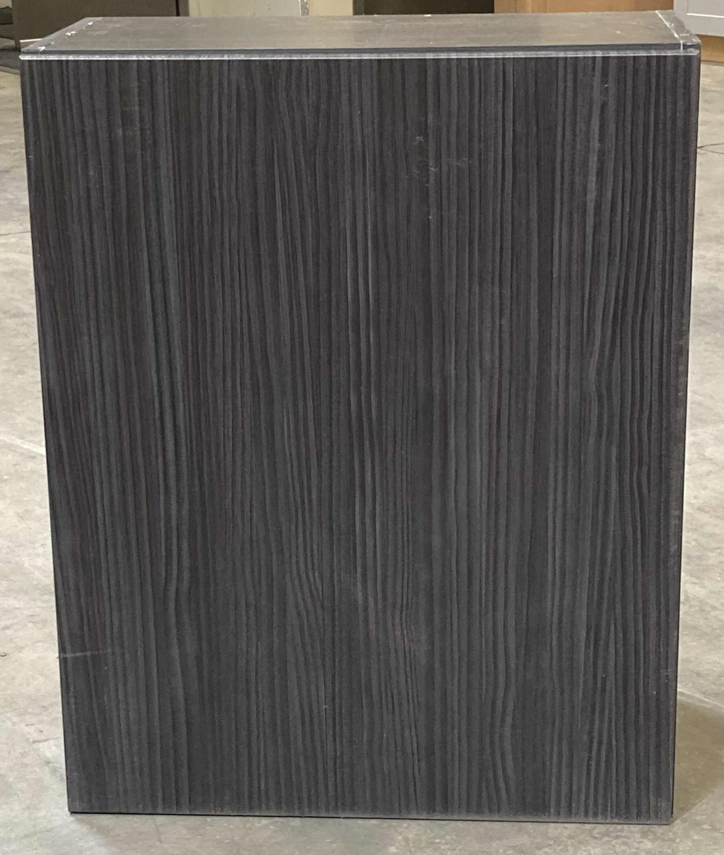 Photo 1 of LEEDO LINEA BLACK 1 DOOR 2 SHELF WALL CABINET 24” X 13” H30”