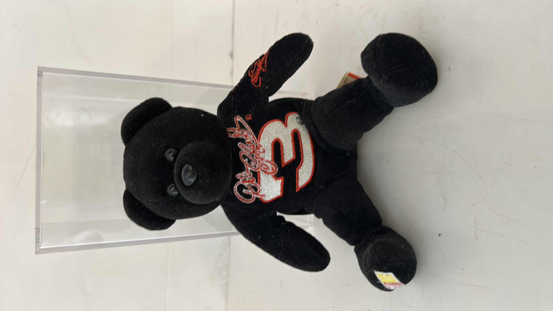 Photo 1 of DALE EARNHARDT COLLECTIBLE BEAR IN CASE
