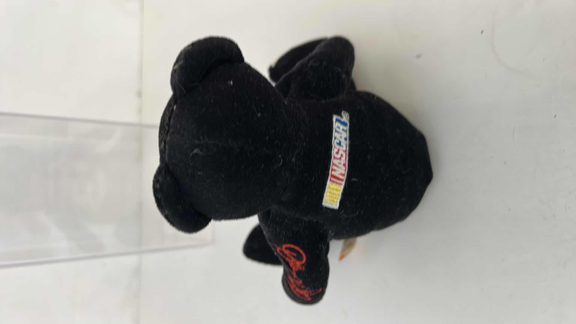 Photo 2 of DALE EARNHARDT COLLECTIBLE BEAR IN CASE