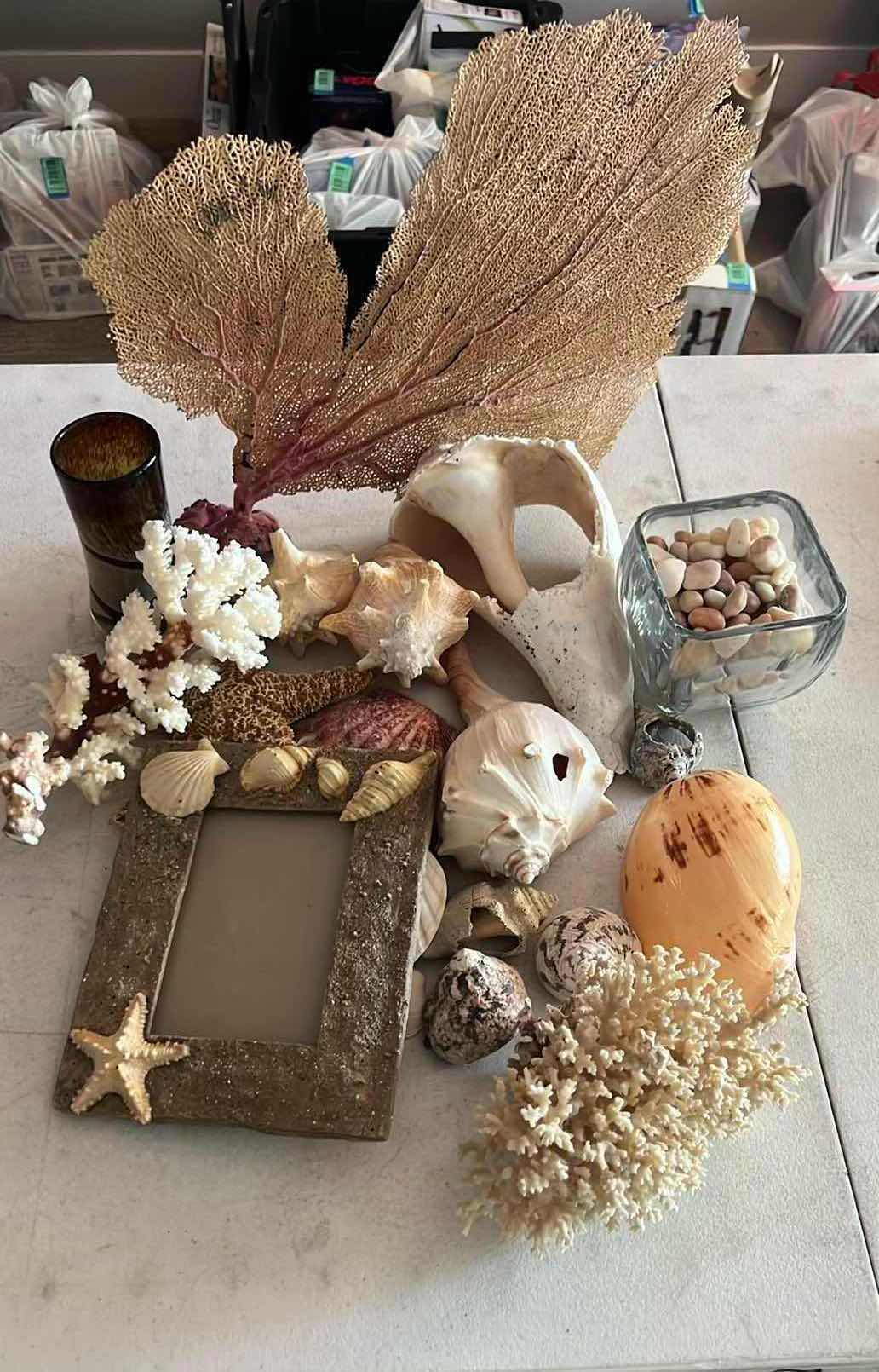 Photo 1 of SEASHELLS, PICTURE FRAME, 2-VASES
