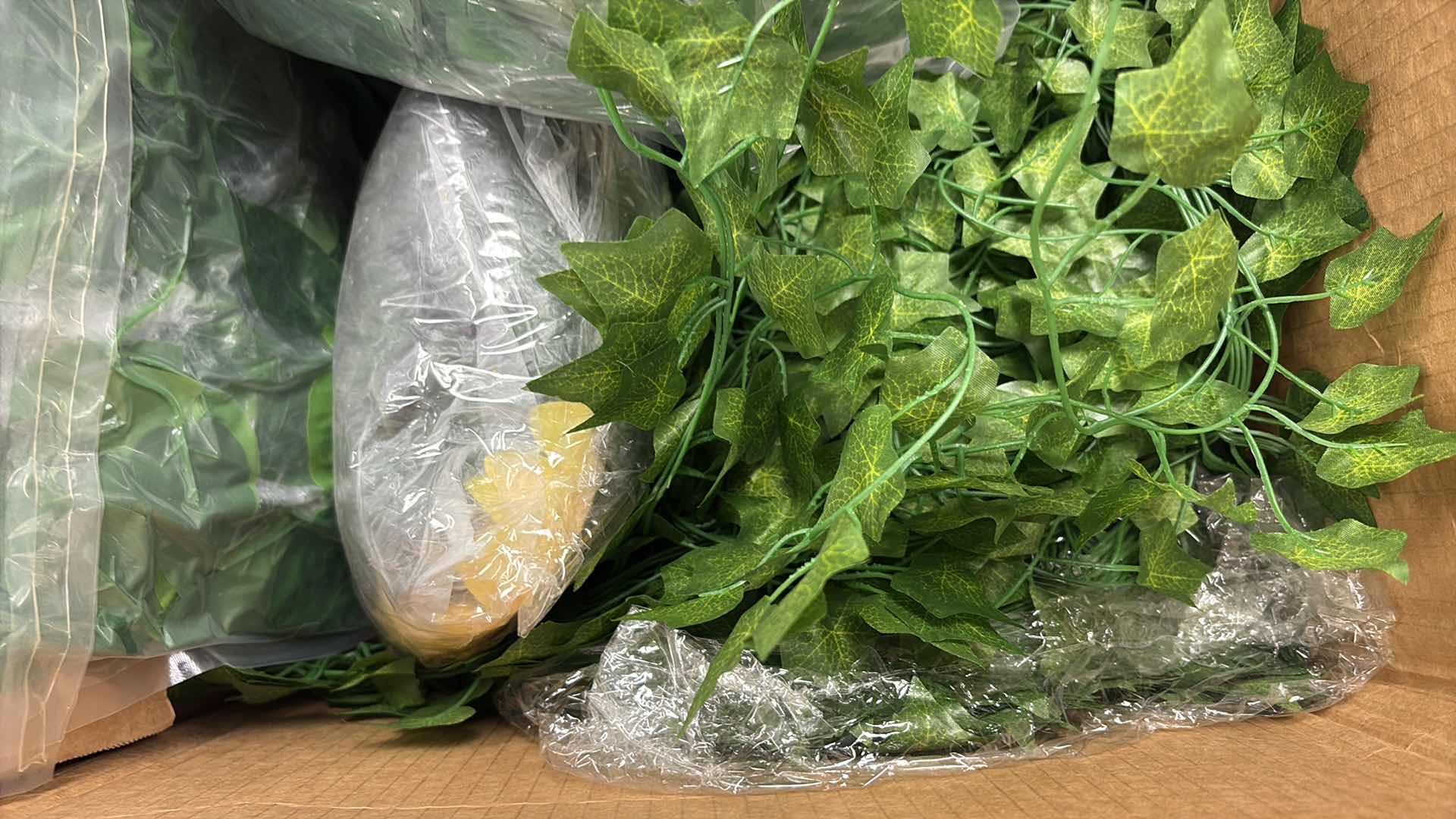 Photo 1 of BOX OF FOLIAGE