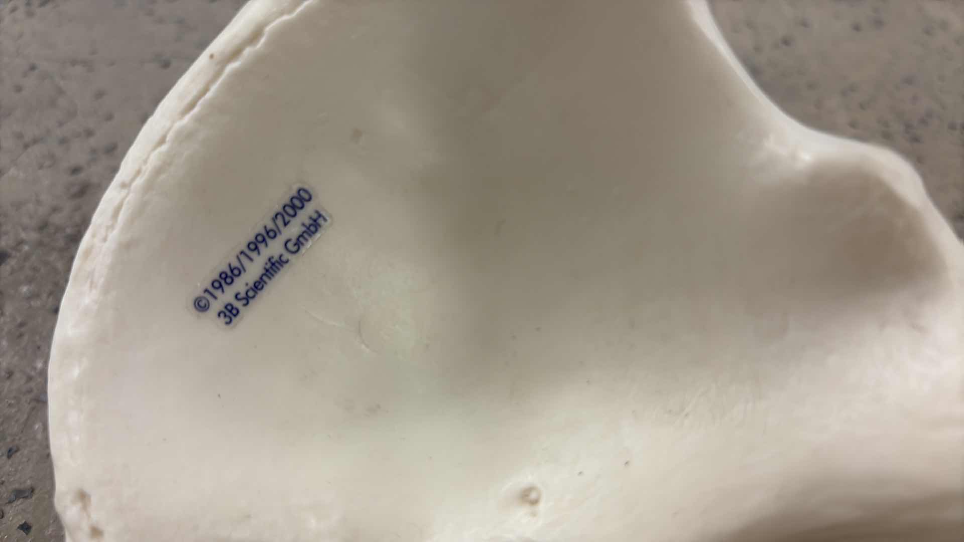 Photo 1 of 3B SCIENTIFIC SPINE GmBH