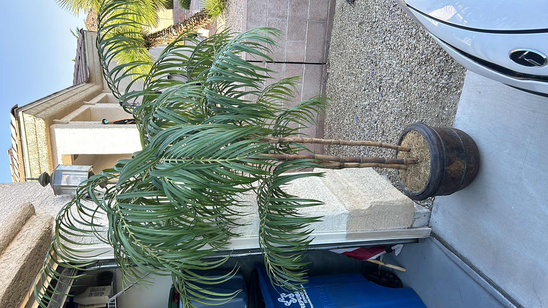 Photo 2 of HOME DECOR - REALISTIC WOOD SIX-FOOT FAUX PALM TREE IN HEAVY CERAMIC POT.