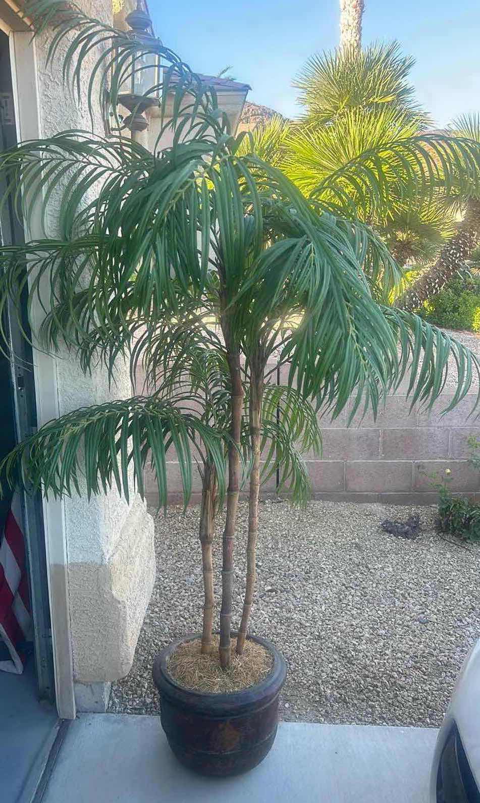 Photo 1 of HOME DECOR - REALISTIC WOOD SIX-FOOT FAUX PALM TREE IN HEAVY CERAMIC POT.