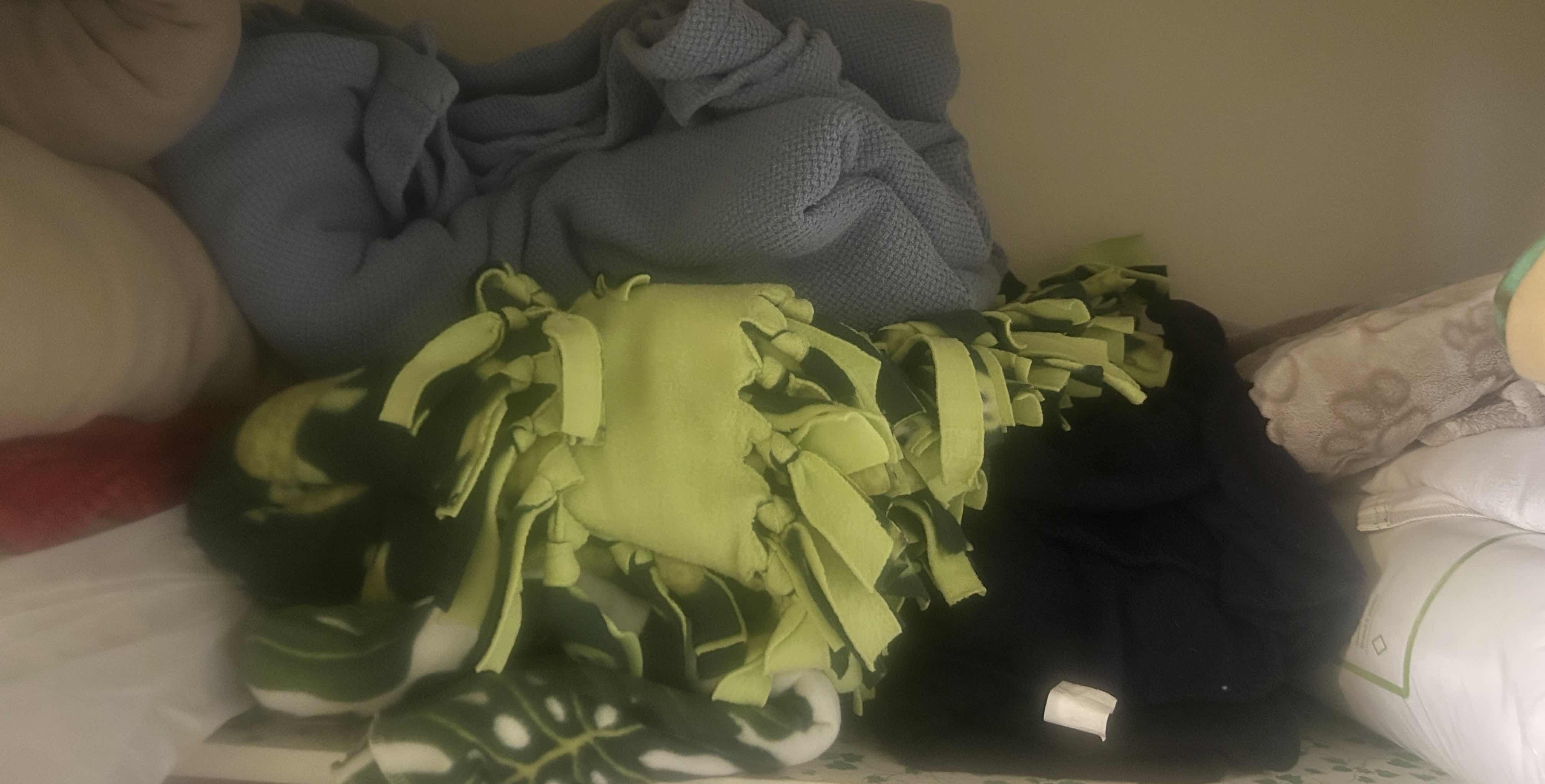 Photo 1 of CONTENTS OF LINEN CLOSET