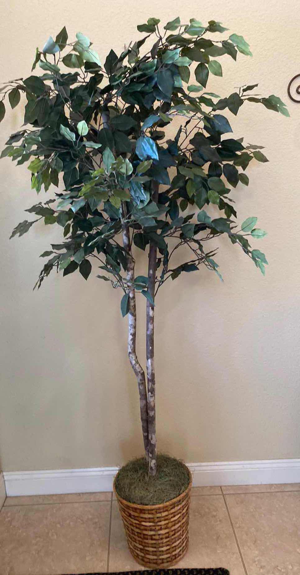 Photo 1 of FAUX  FICUS TREE H72”