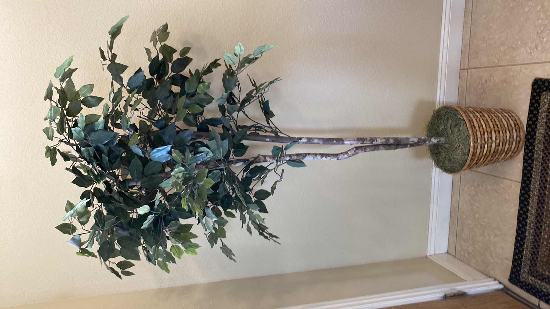 Photo 2 of FAUX  FICUS TREE H72”