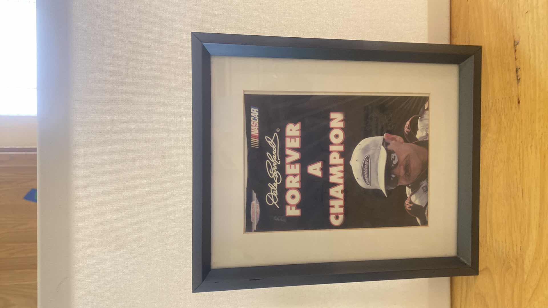 Photo 1 of 6 - DALE EARNHARDT JR.COLLECTIBLES - MUGS BEARS & MORE FRAMED PHOTO 8 1/2” x 10 1/2”
