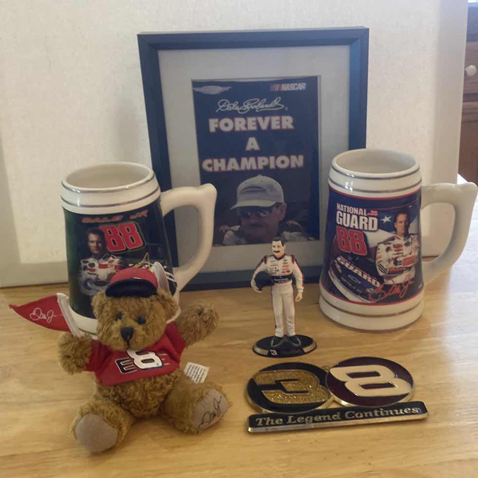 Photo 1 of 6 - DALE EARNHARDT JR.COLLECTIBLES - MUGS BEARS & MORE FRAMED PHOTO 8 1/2” x 10 1/2”