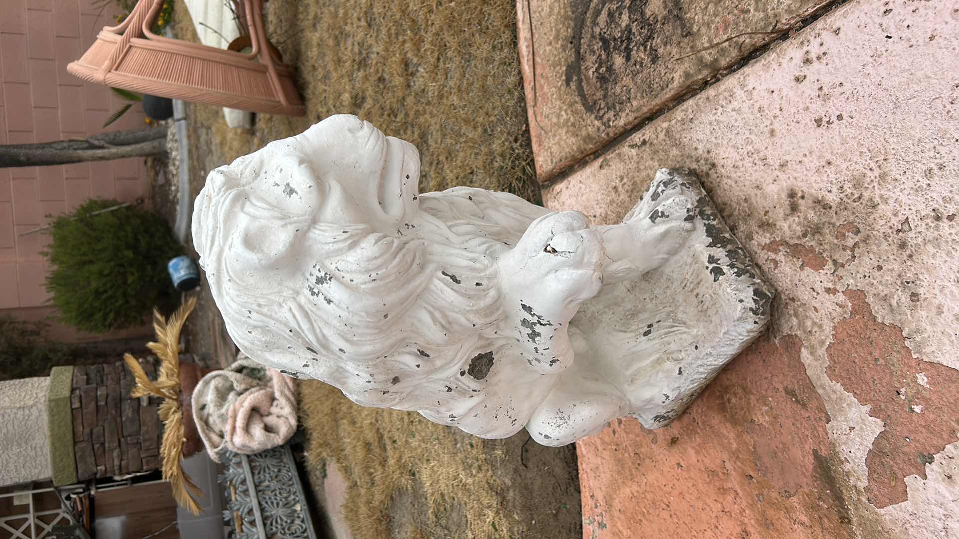 Photo 1 of VERY HEAVY PLASTER LIONS H22”