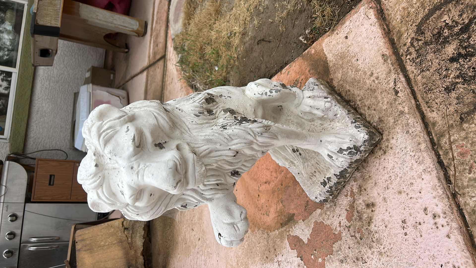 Photo 1 of VERY HEAVY PLASTER LIONS H22”