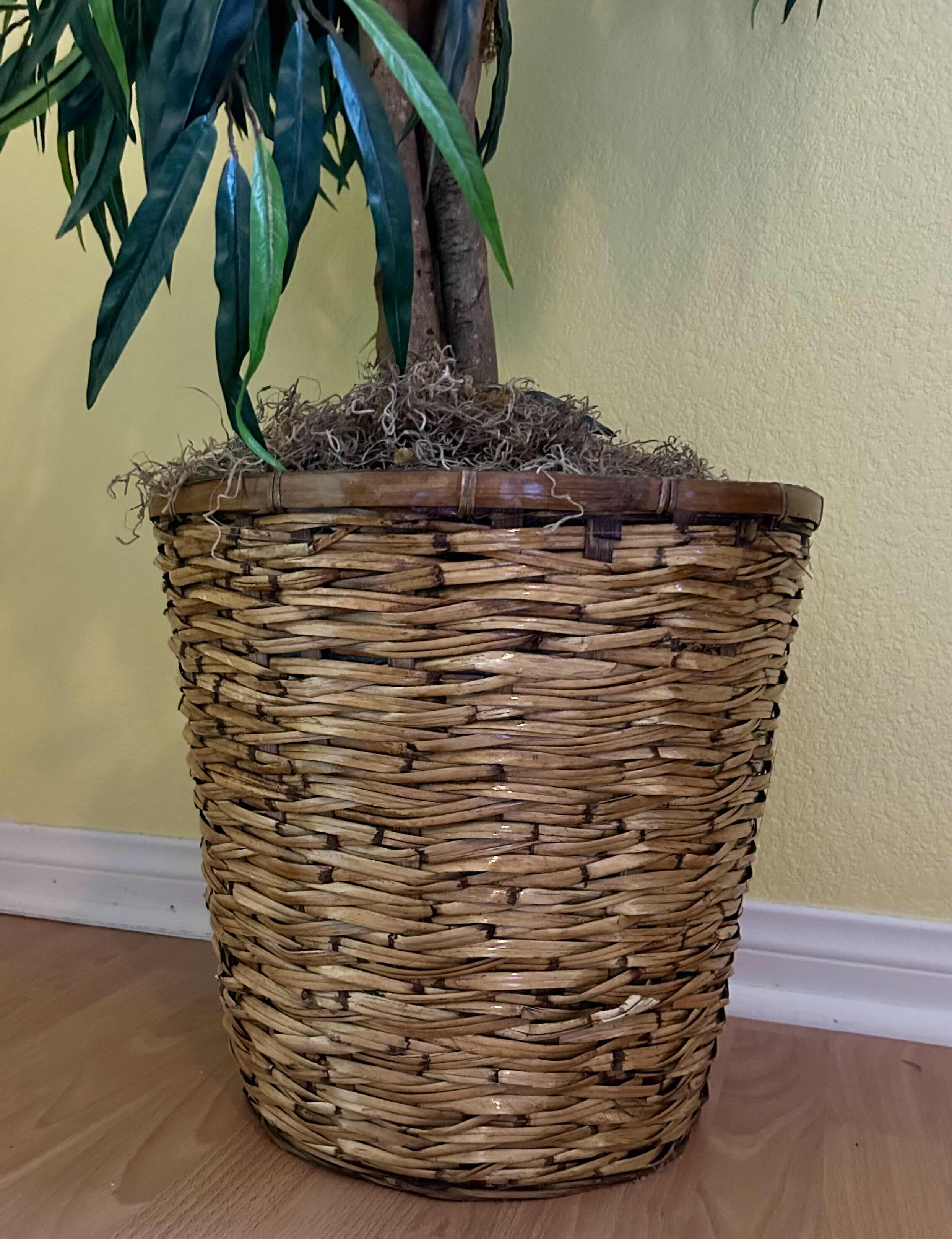 Photo 2 of 78” FAUX TREE IN LIGHT BROWN WOVEN WICKER POT