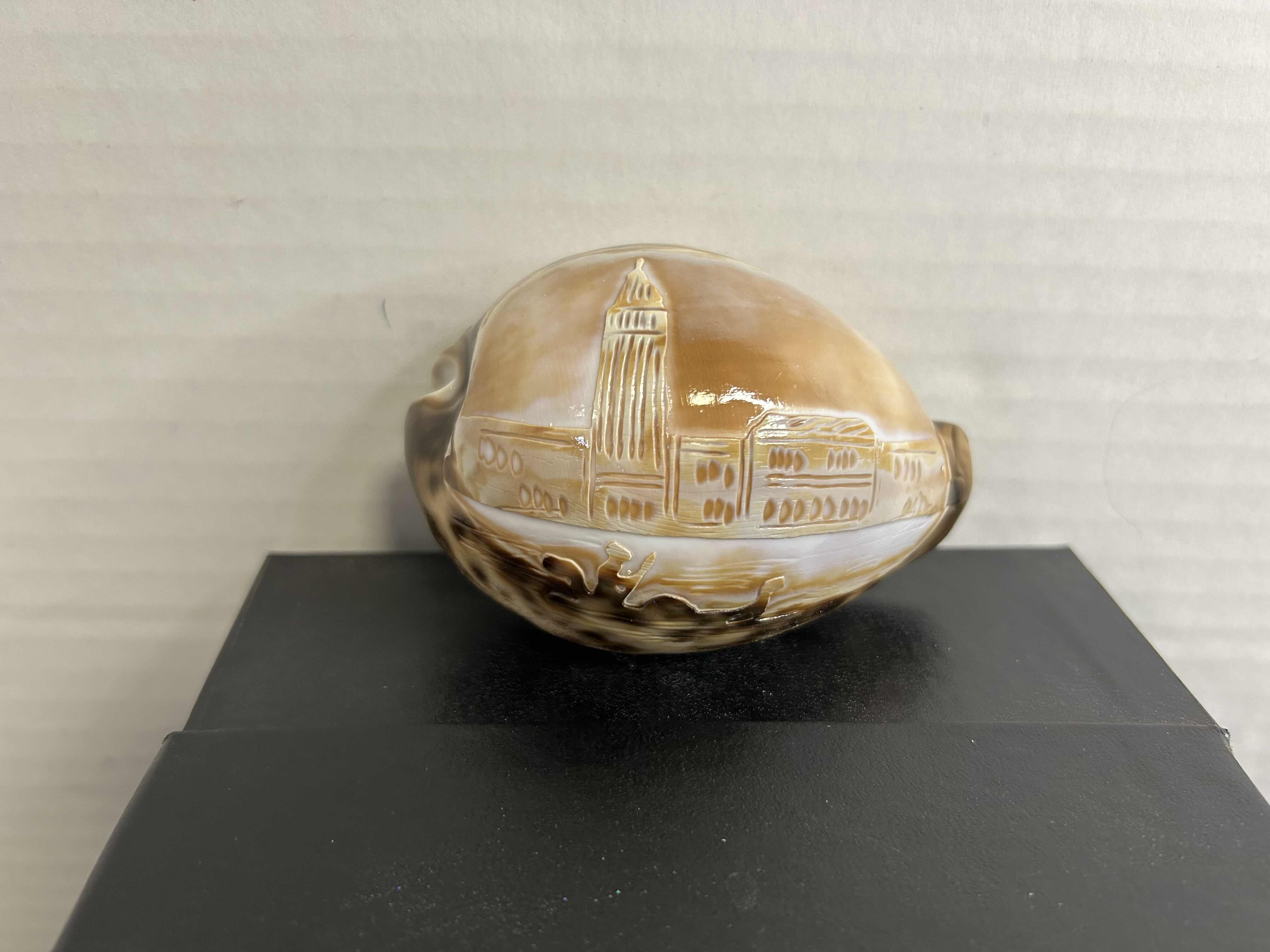 Photo 2 of NIB ENGRAVED LANDSCAPE ON TIGER COWRIE SHELL, MADE IN ITALY