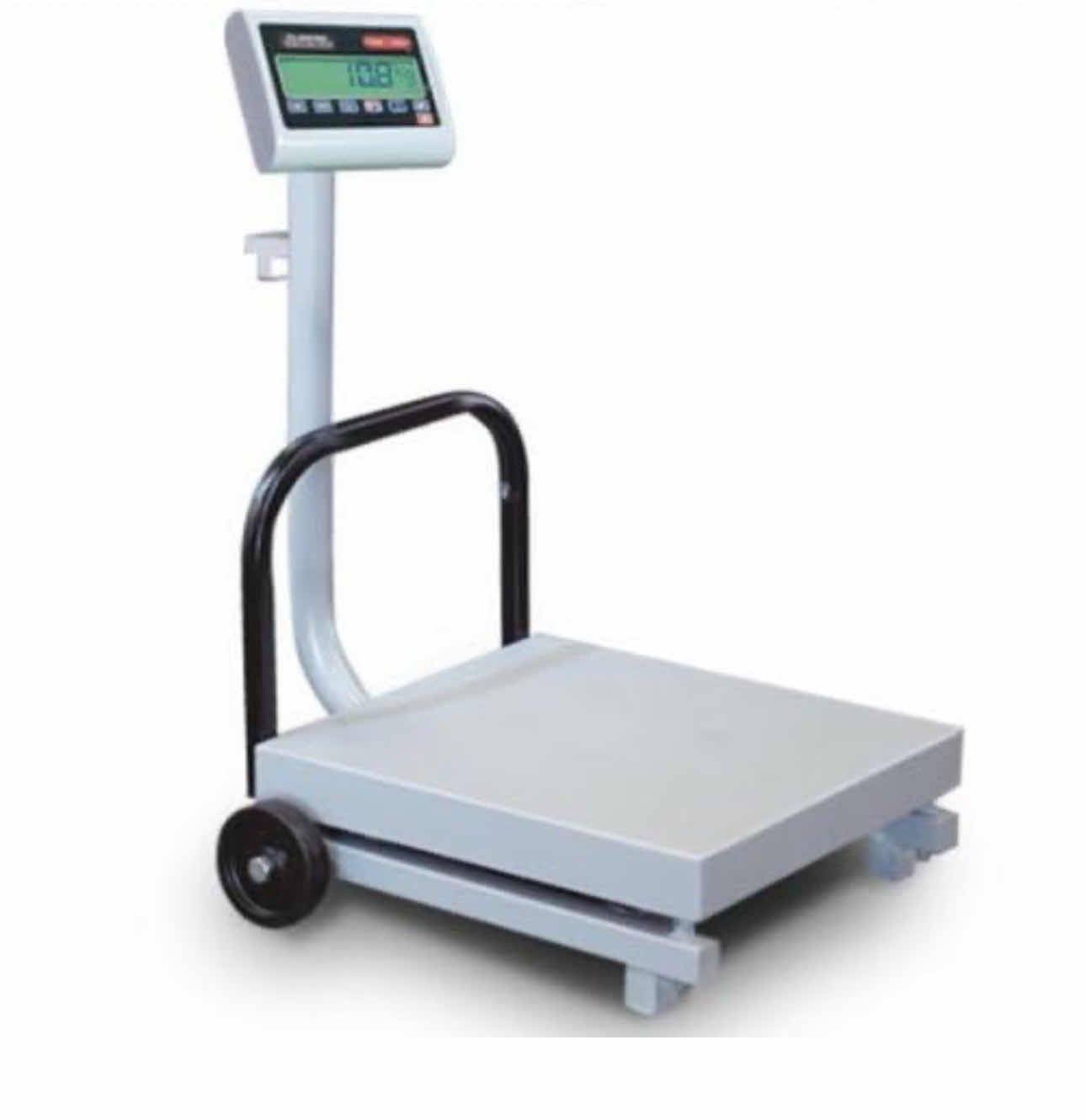 Photo 1 of TORREY FS-500/1000 NTEP BENCH SCALE