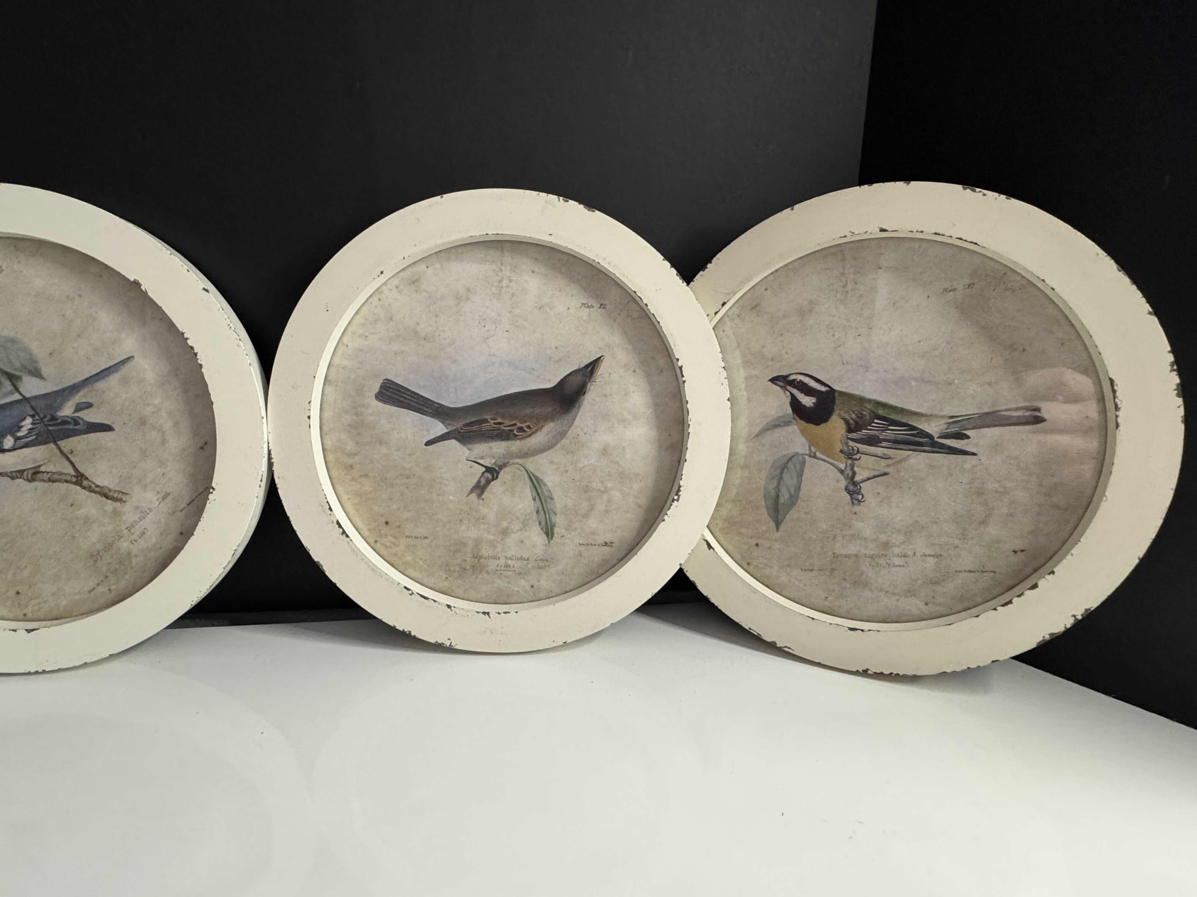 Photo 2 of BRAND NEW 4-10” ROUND WOOD FRAMED BIRD PRINTS