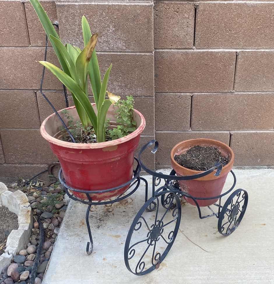 Photo 1 of PLANT IN PLASTIC POT 15” x 11” WITH STAND AND CLAY POT UN BICYCLE