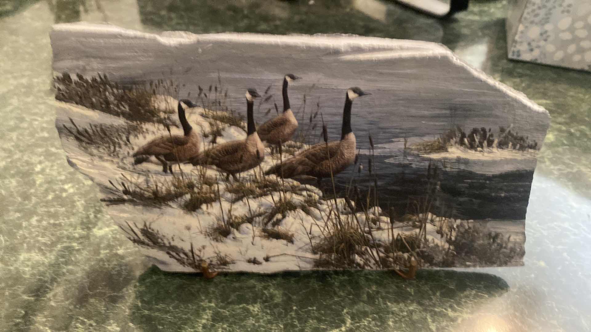 Photo 1 of DUCK PAINTING ON ROCK 8 3/4” X 5”