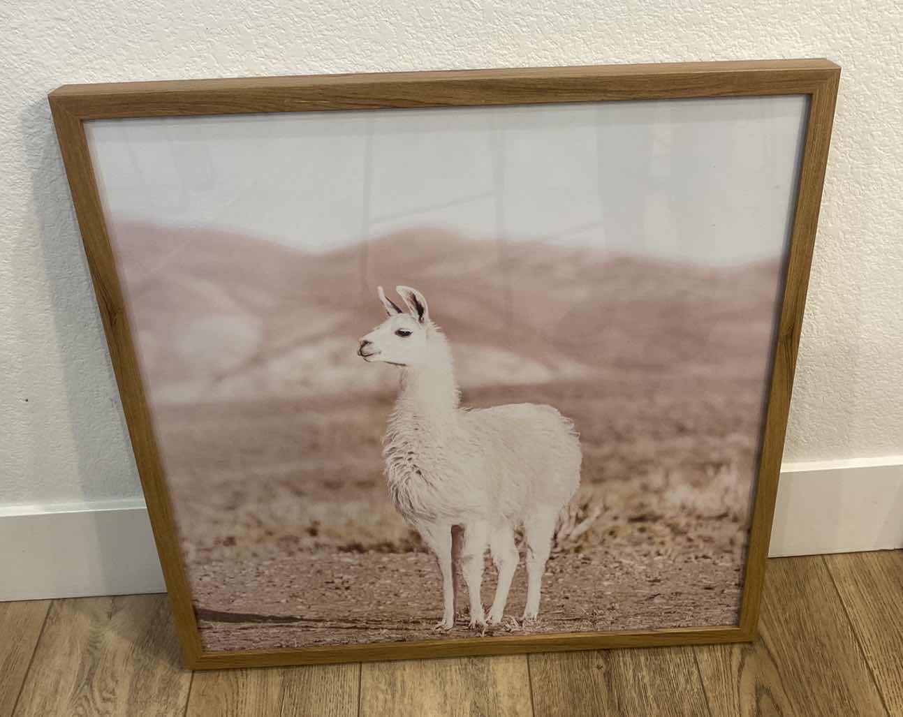 Photo 2 of PAIR OF WOOD FRAMED LAMA PHOTOGRAPHS ARTWORK  LARGEST 24” x 24”