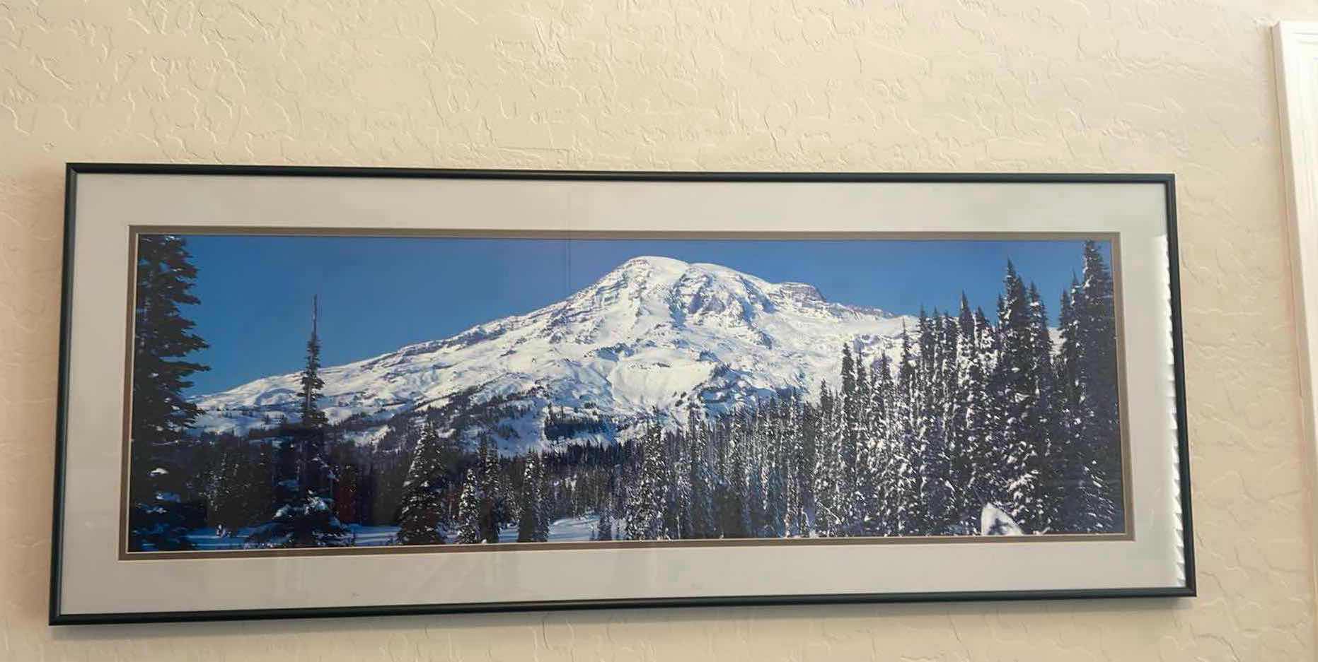 Photo 1 of FRAMED ARTWORK MOUNTAIN SCENE 39.5" x 15.5"