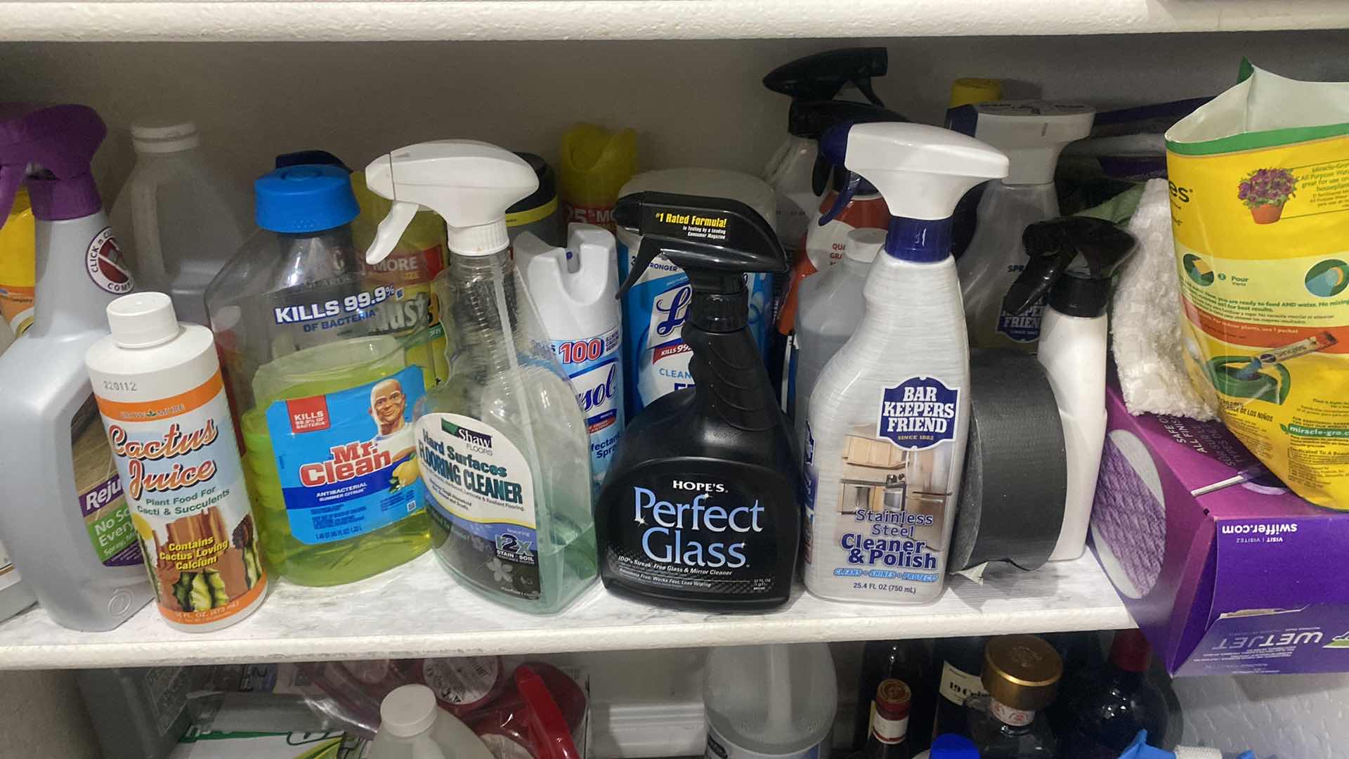 Photo 1 of SHELF IN PANTRY - CLEANING SUPPLIES