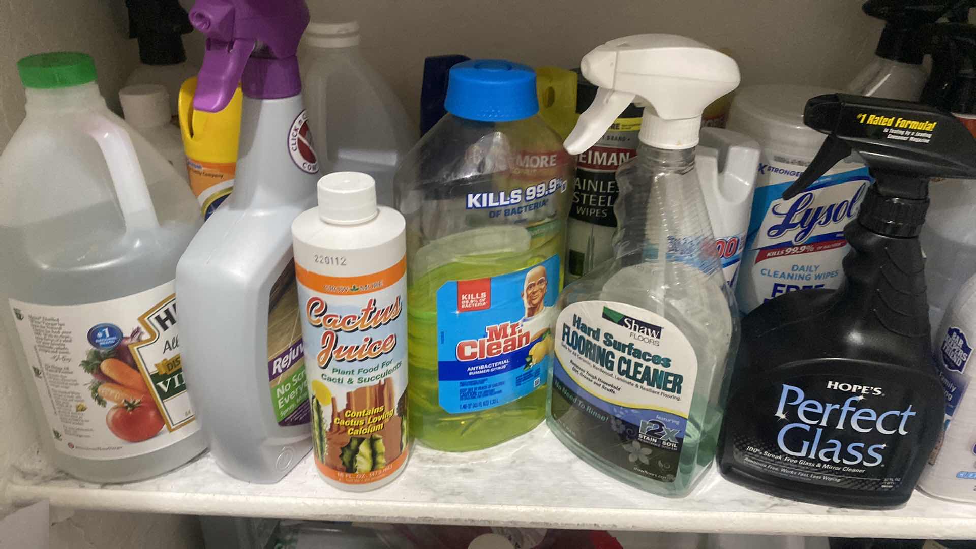 Photo 2 of SHELF IN PANTRY - CLEANING SUPPLIES