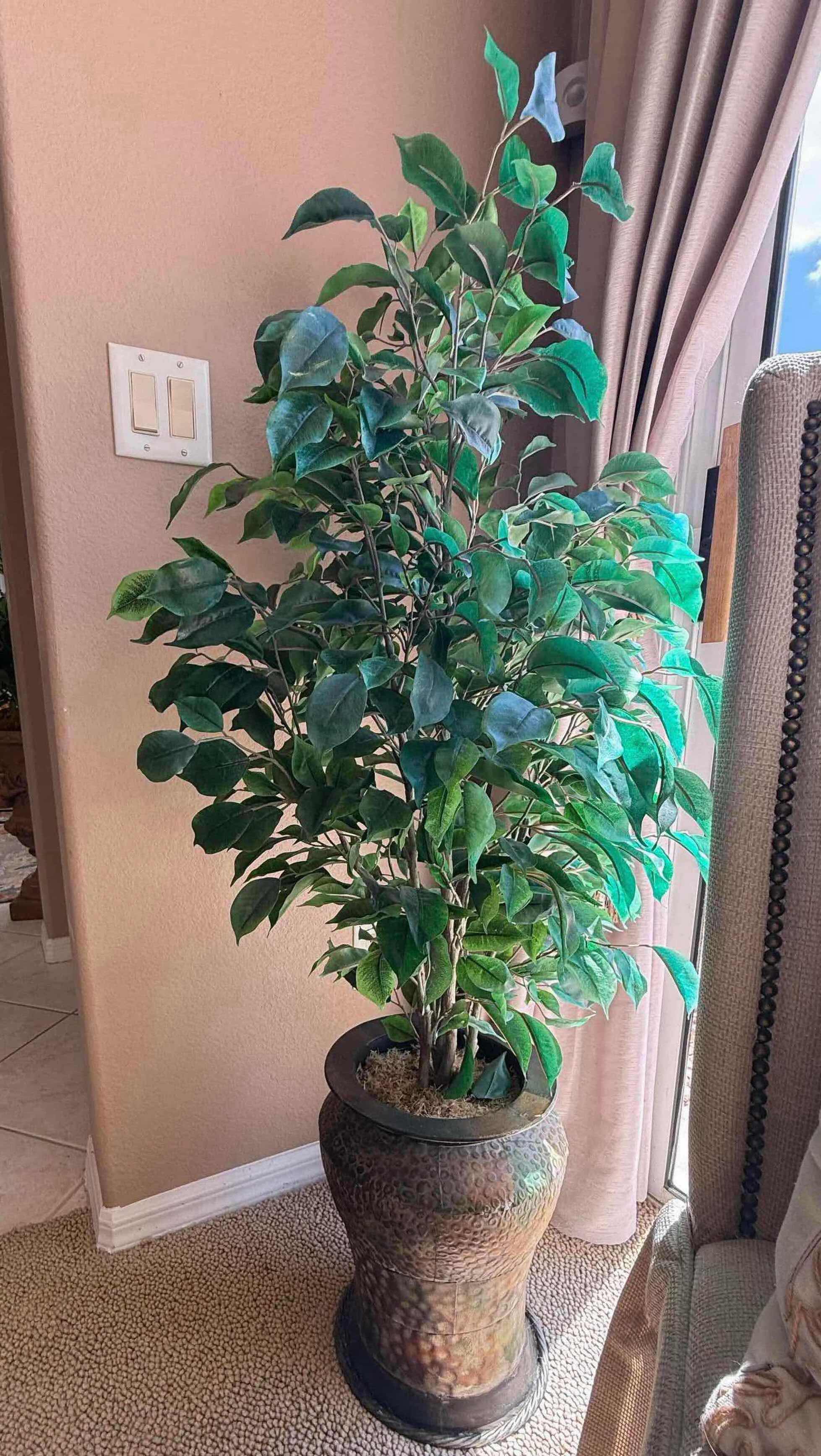 Photo 1 of POTTED FAUX FICUS TREE H53”