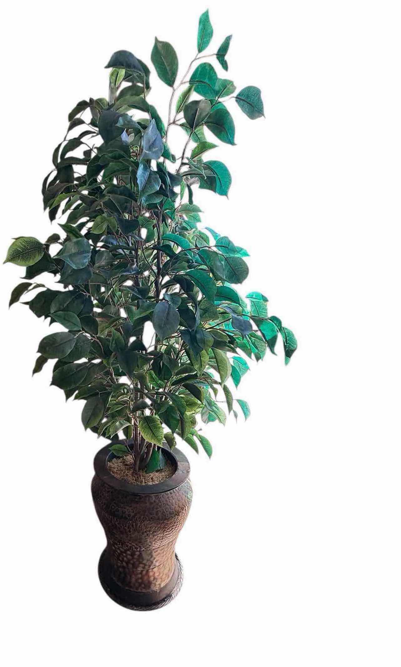 Photo 1 of POTTED FAUX FICUS TREE H53”