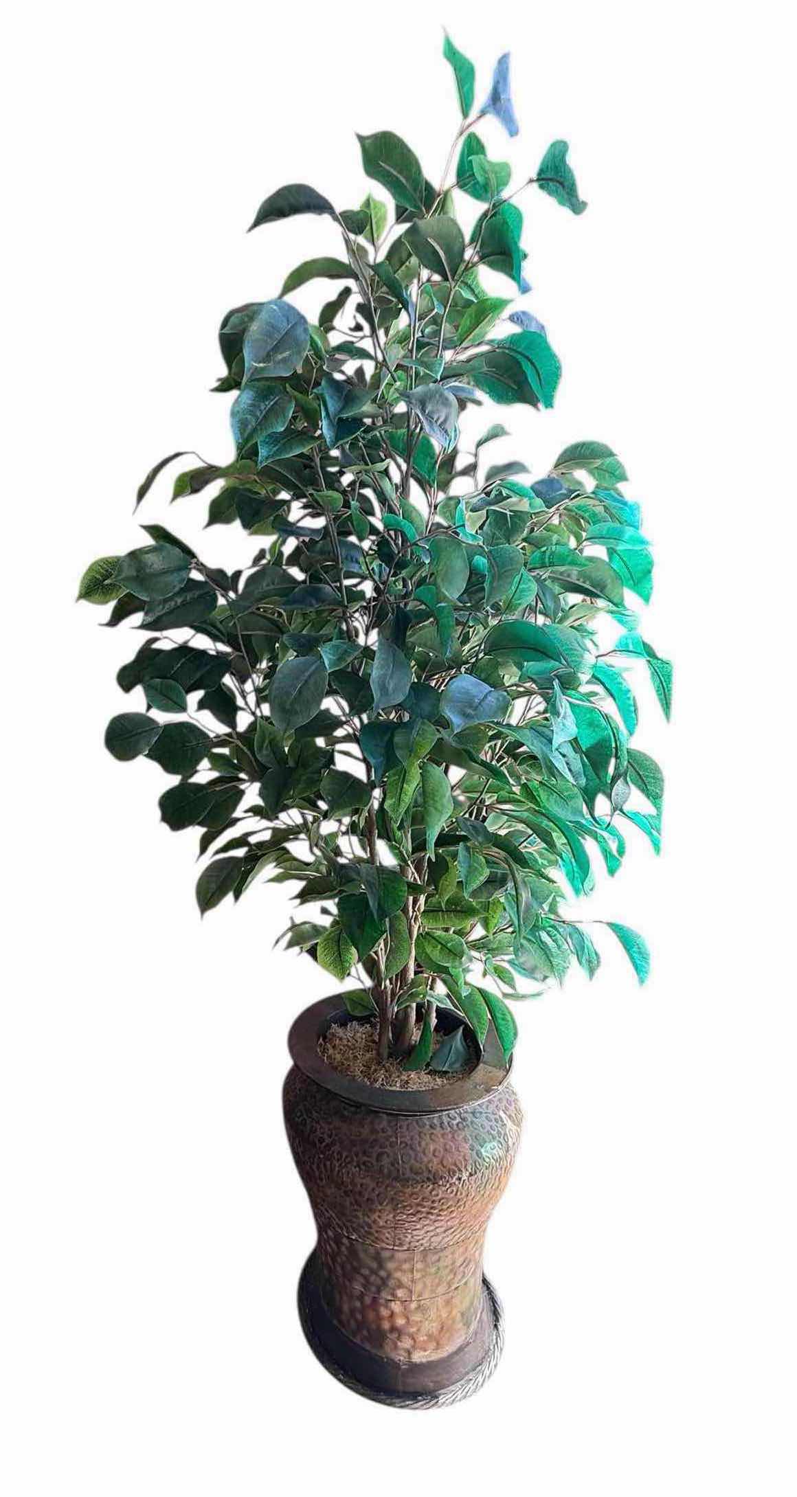 Photo 1 of POTTED FAUX FICUS TREE H53”