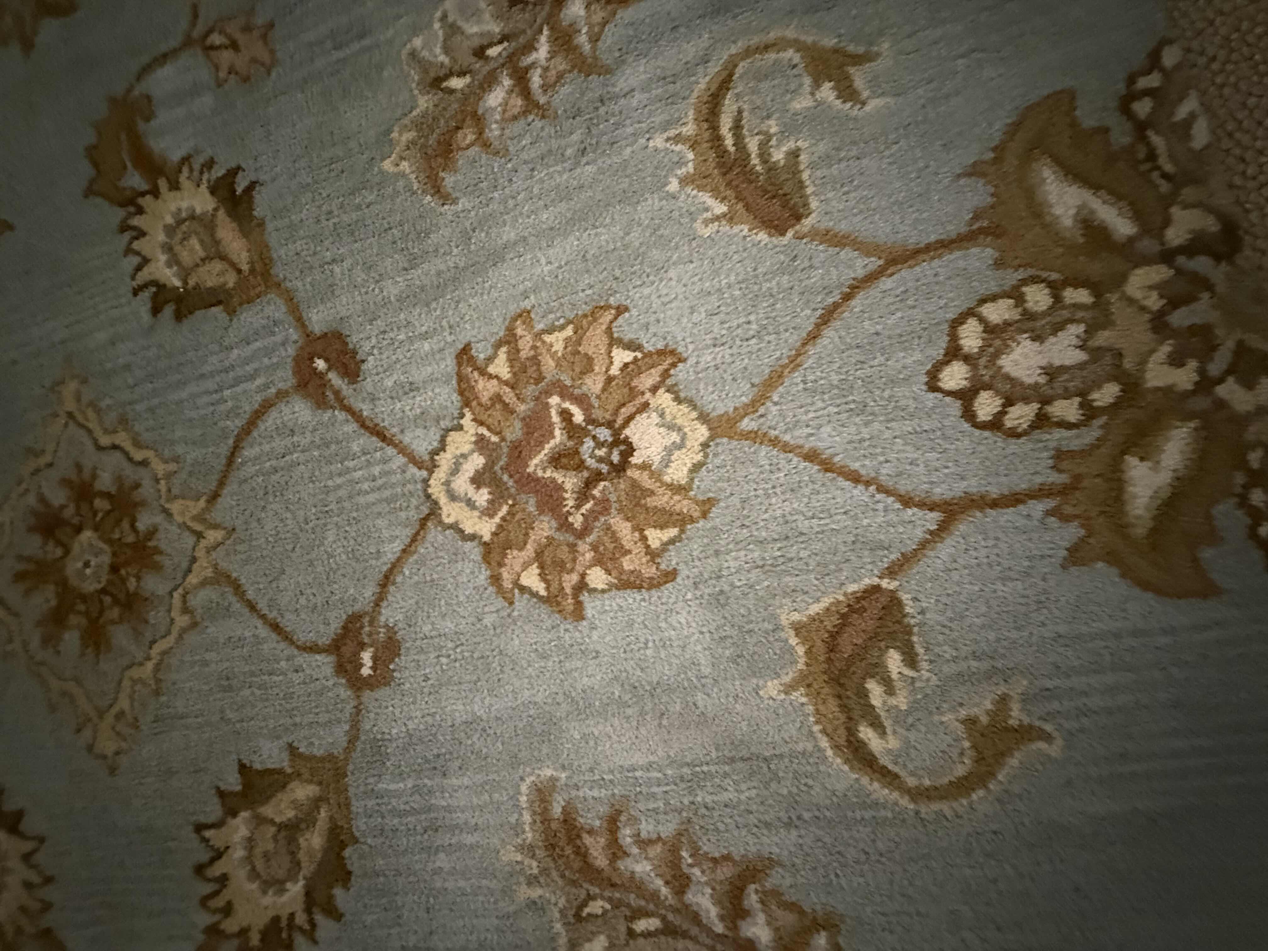 Photo 1 of PIER 1 IMPORTS 100% WOOL FLORAL AREA RUG 6’ x 9’