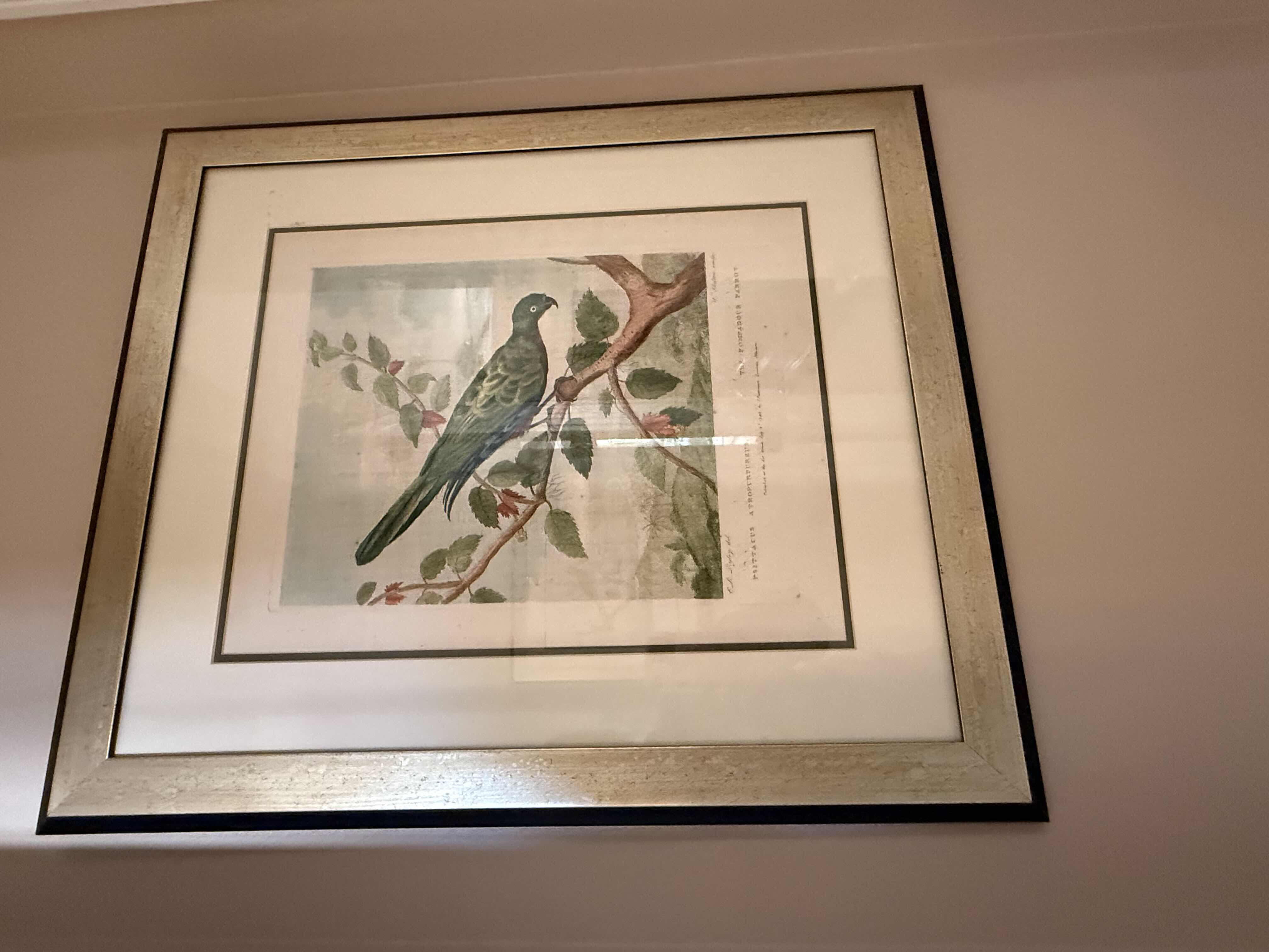 Photo 1 of FRAMED "AFRICAN PARROT PERCHED ON BRANCH" ARTWORK 23” x 28”