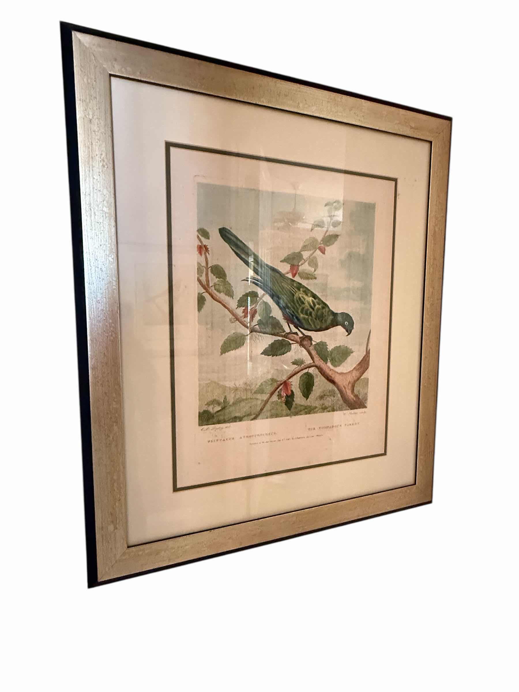 Photo 1 of FRAMED "AFRICAN PARROT PERCHED ON BRANCH" ARTWORK 23” x 28”