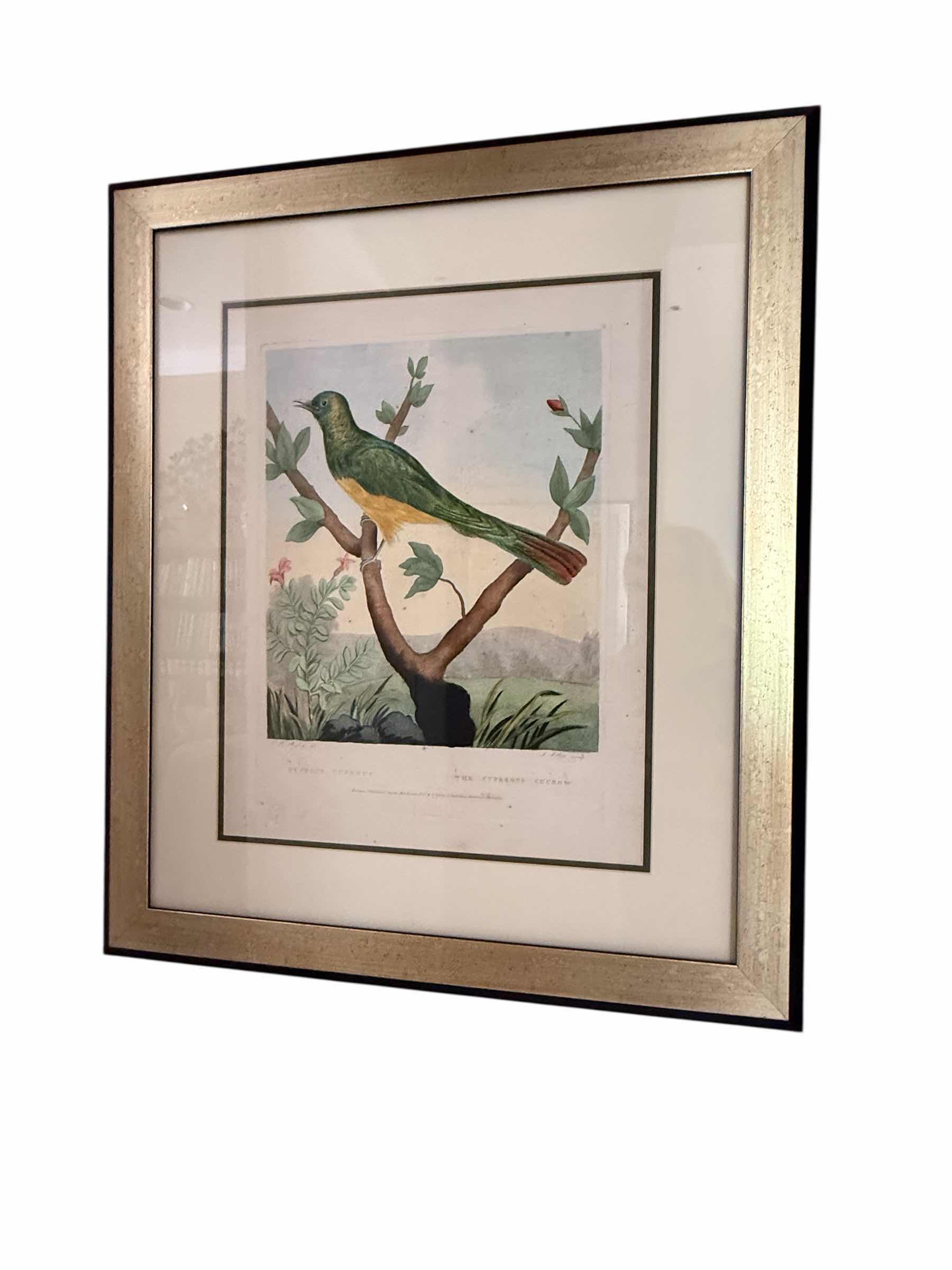 Photo 1 of FRAMED BIRD ARTWORK 23” x 28”