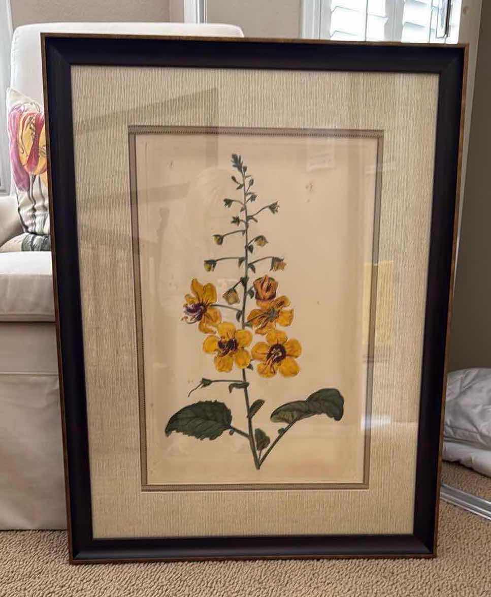 Photo 1 of FRAMED BOTANICAL FLORAL ARTWORK 27” x 34”