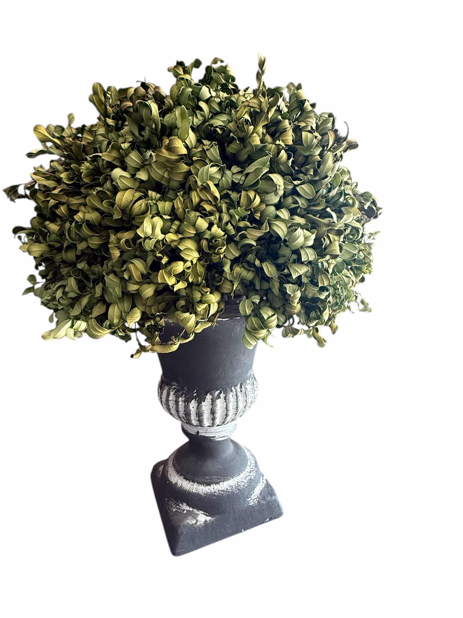 Photo 1 of TOPIARY PLANT HOME DECOR W 12” H 17”