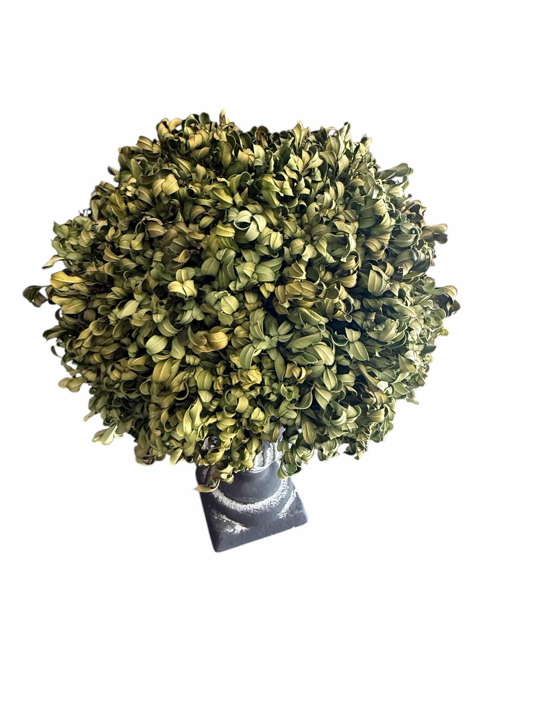 Photo 1 of TOPIARY PLANT HOME DECOR W 12” H 17”